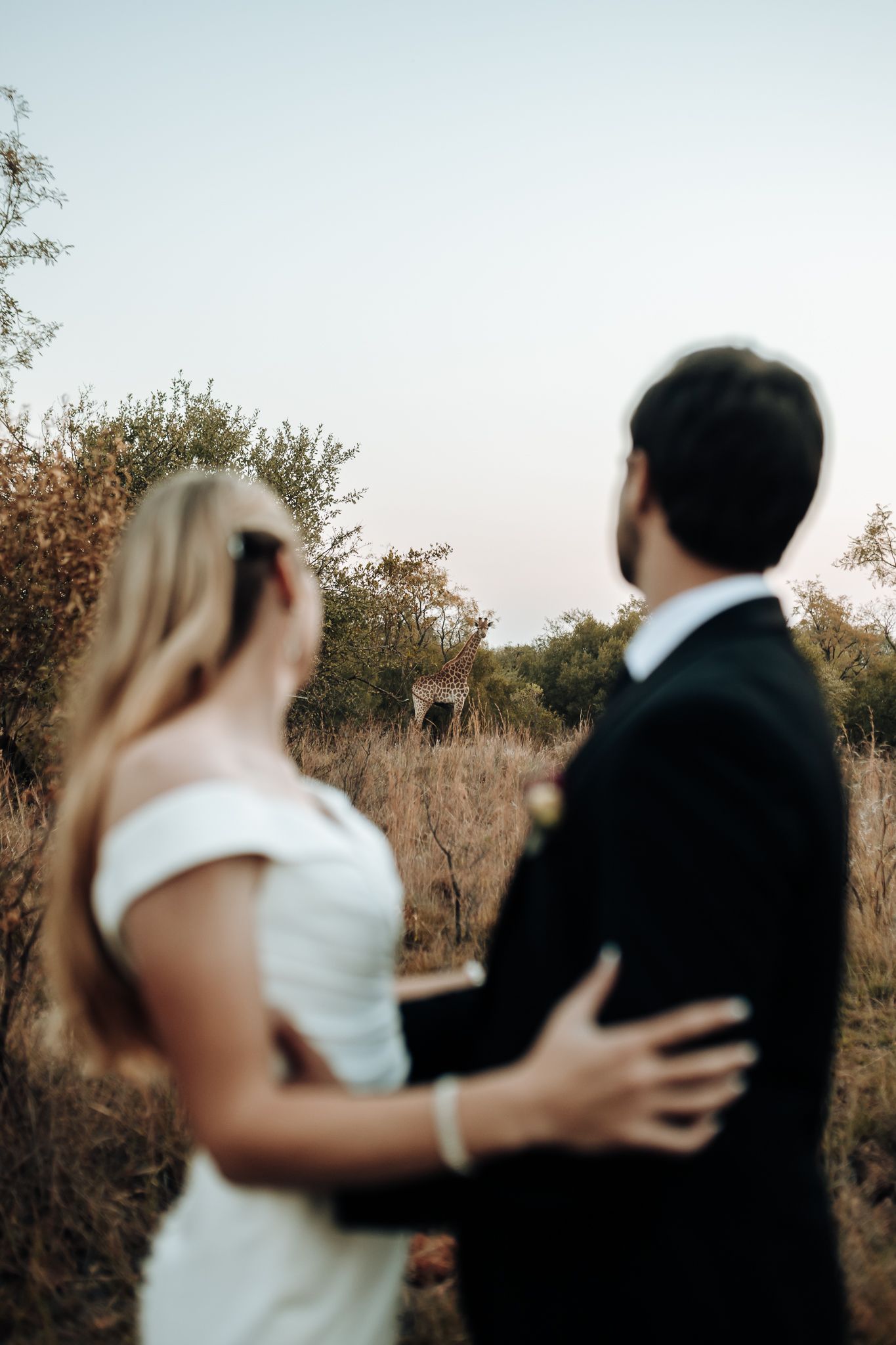 A candid moment between newlyweds looking at wildlife in the distance on their wedding day.