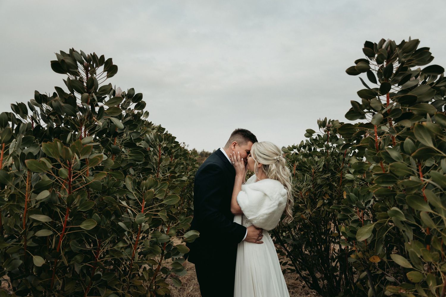 Bride and groom share romantic moment surrounded by lush green shrubs on their wedding day.