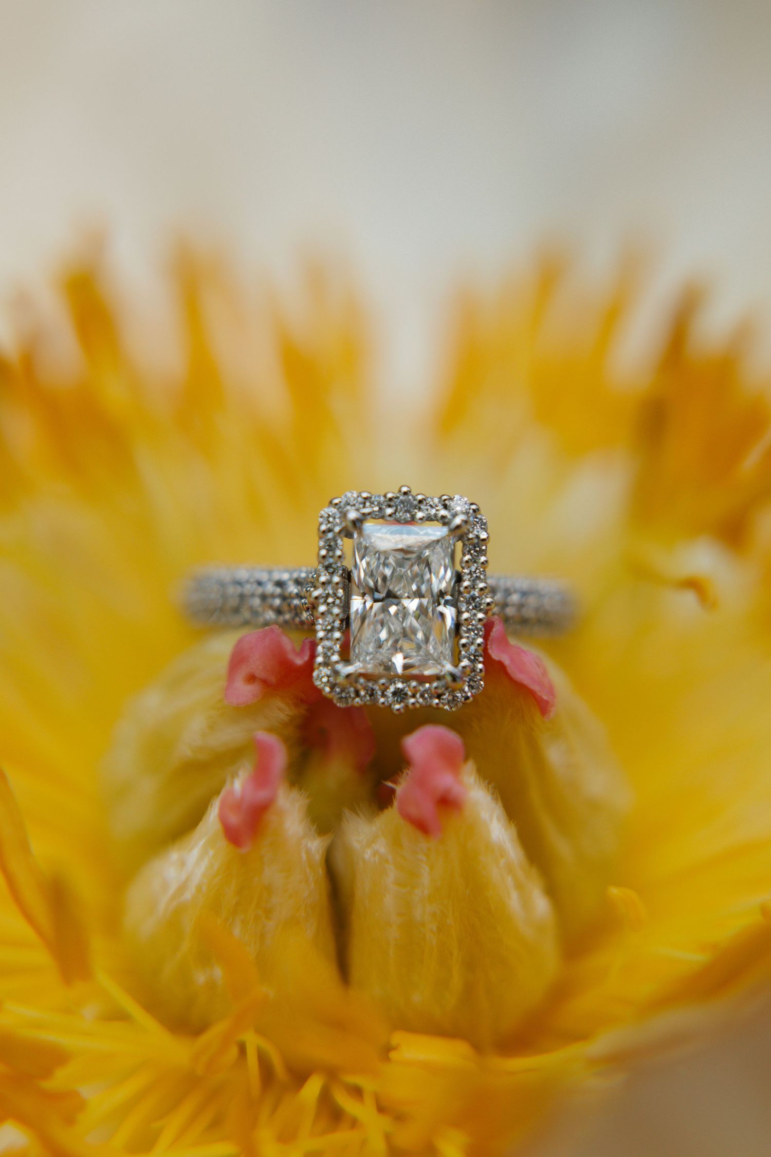 A sparkling diamond engagement ring with a square cut center stone and pave band rests on yellow flower petals.