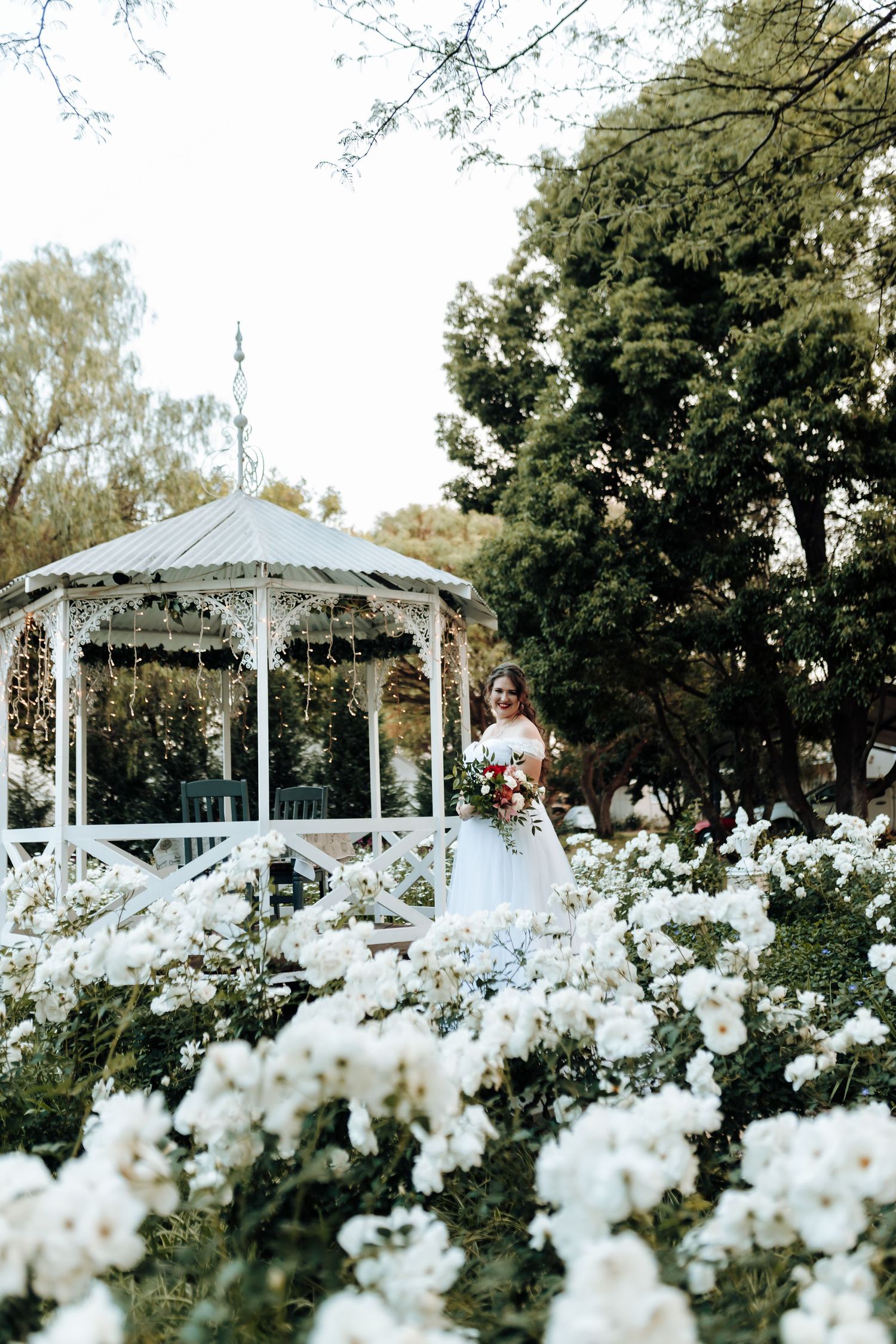 White garden gazebo decorated with string lights amid a sea of white roses.