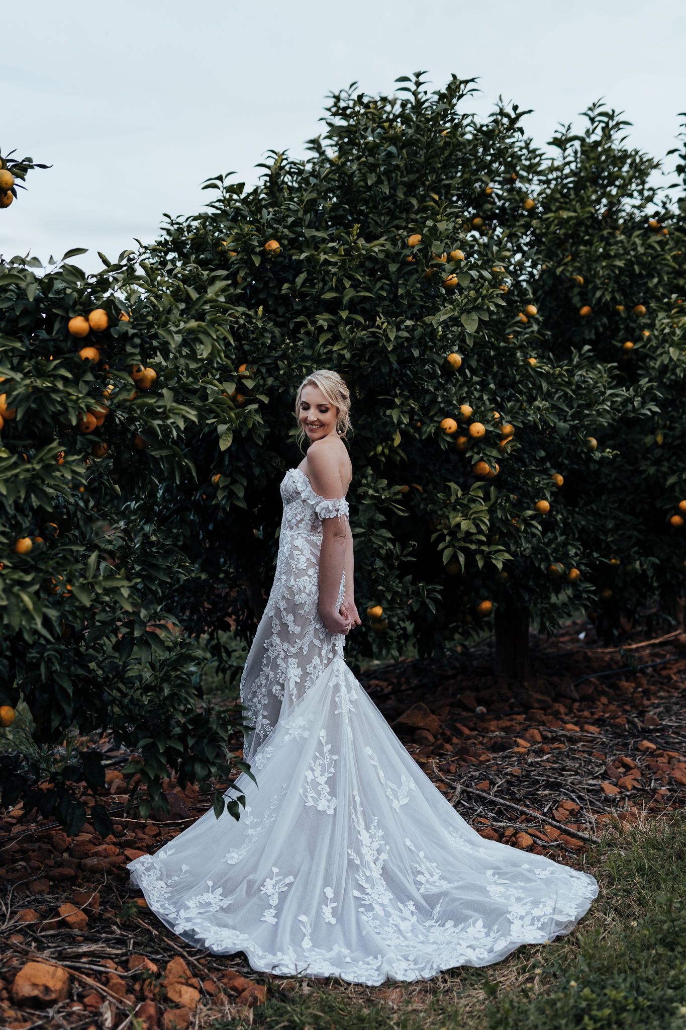 Elegant bridal portrait in a flowing lace gown against a backdrop of orange trees.
