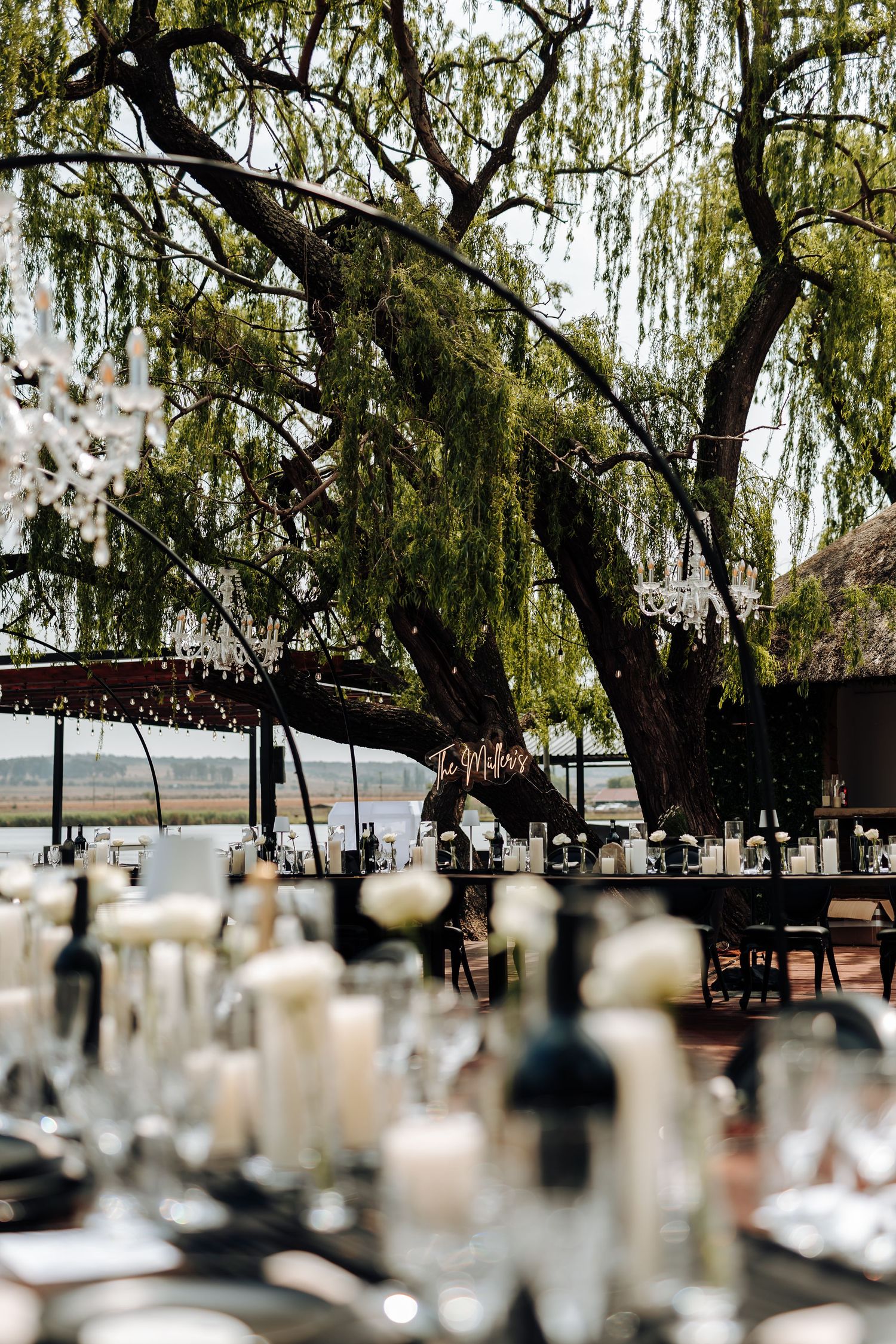 Rustic outdoor wedding reception setup with hanging glass lanterns under a dramatic weeping willow tree.