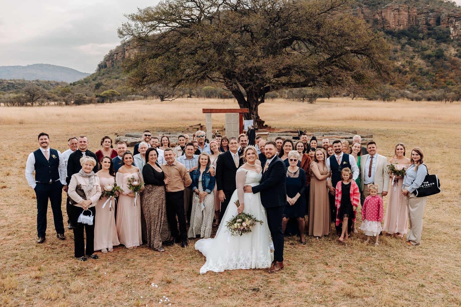 Large wedding group gathered beneath a lone tree in a scenic rural landscape with mountains in the background.