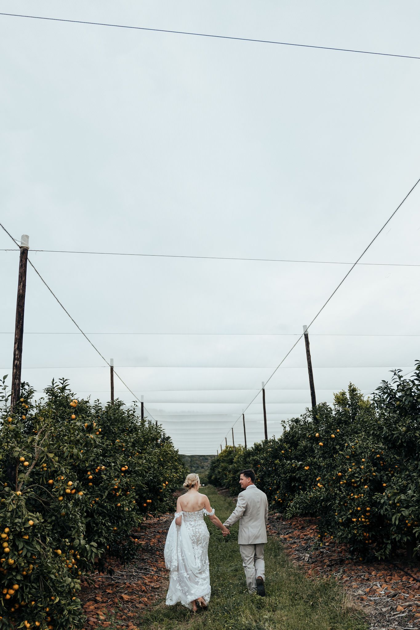 Wedding couple strolling down a rustic path lined with fruit trees and utility poles.