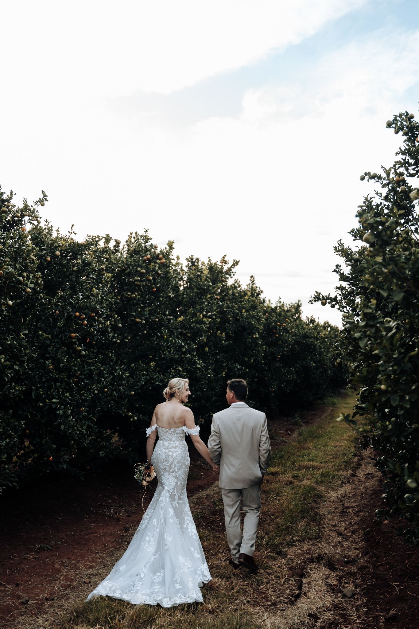 A couple in wedding attire walk hand in hand through a citrus grove.
