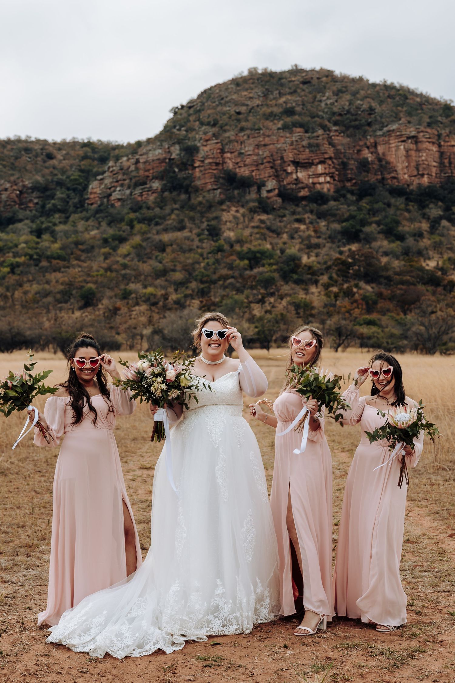 A bridal party in blush pink dresses and white gown pose with bouquets against a dramatic mountain landscape backdrop.