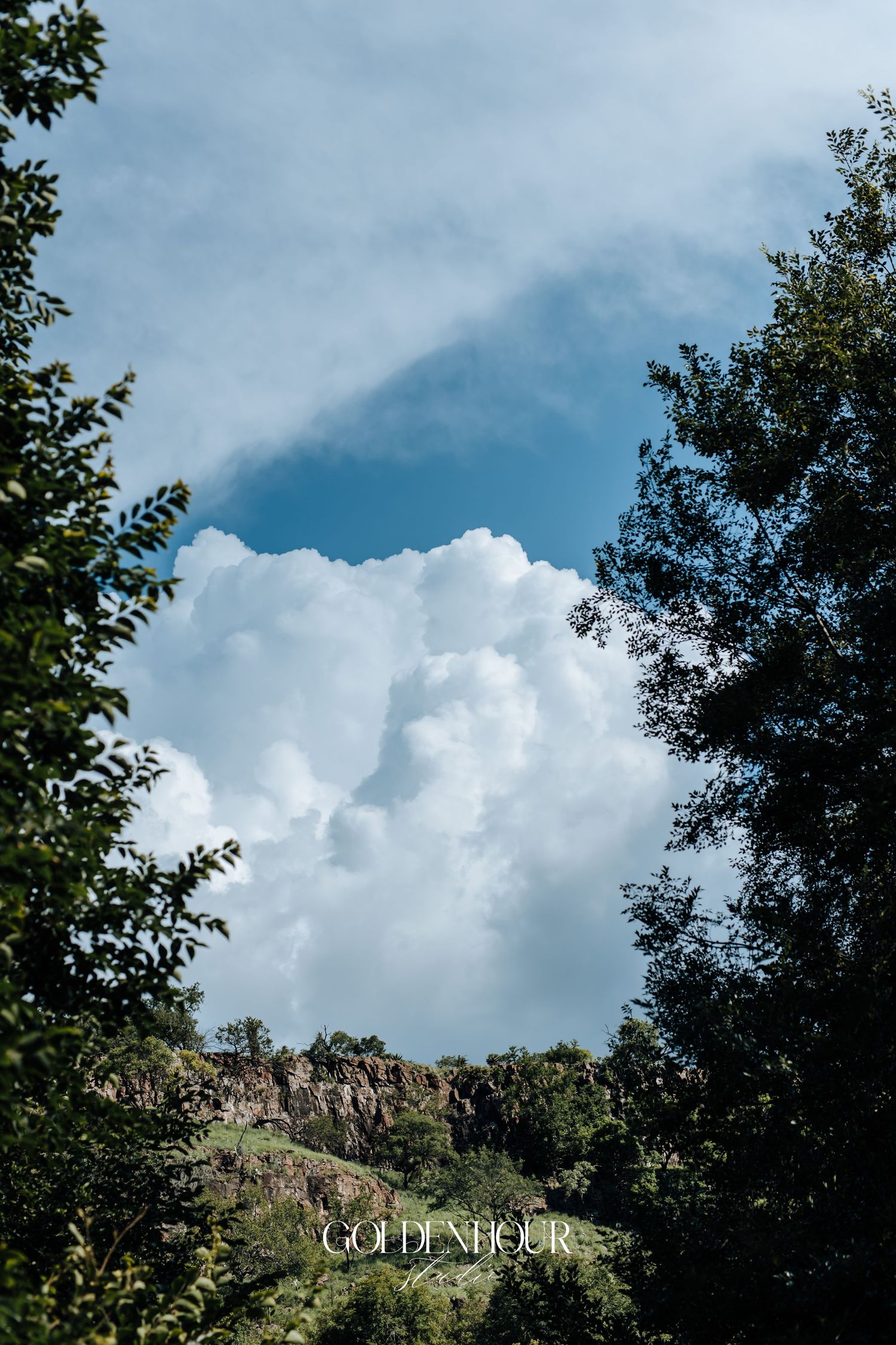 Scenic mountain landscape with blue sky and puffy white clouds framed by green trees.