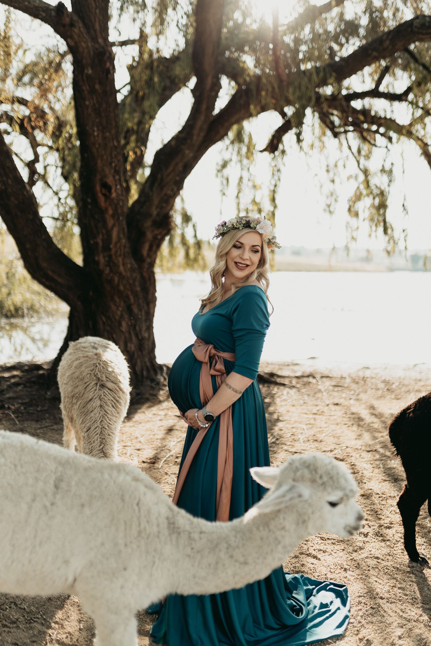 A woman in a teal dress interacts with a white alpaca on a sunlit path beneath a large tree.