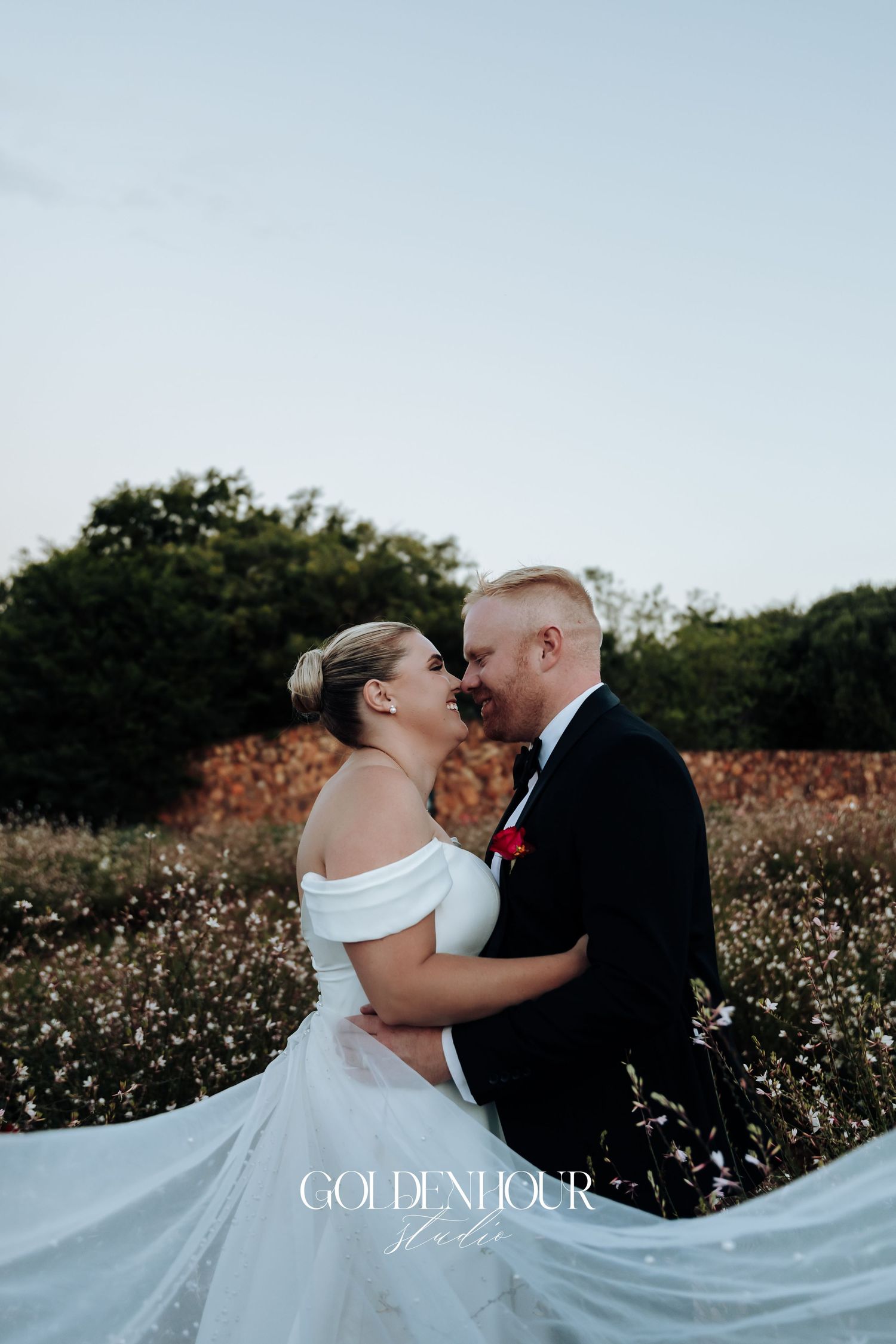Romantic wedding couple embraces in a cotton field at sunset with bride's flowing white dress trailing behind.