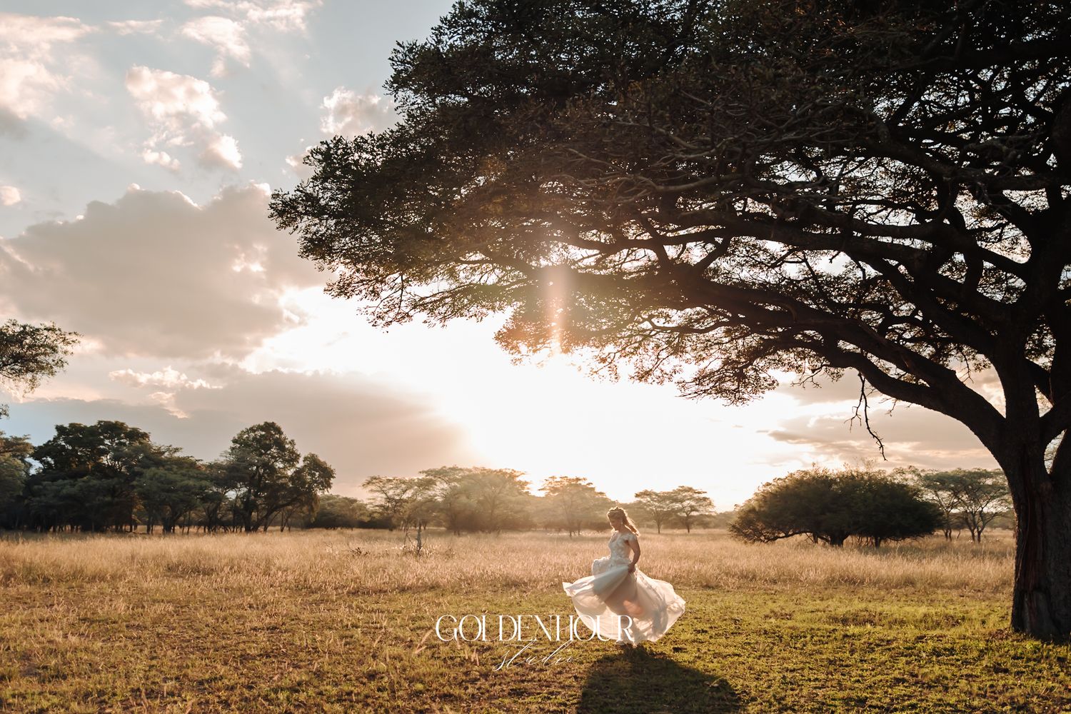 Bride in a white wedding dress spinning beneath a large acacia tree at golden sunset on the savanna.