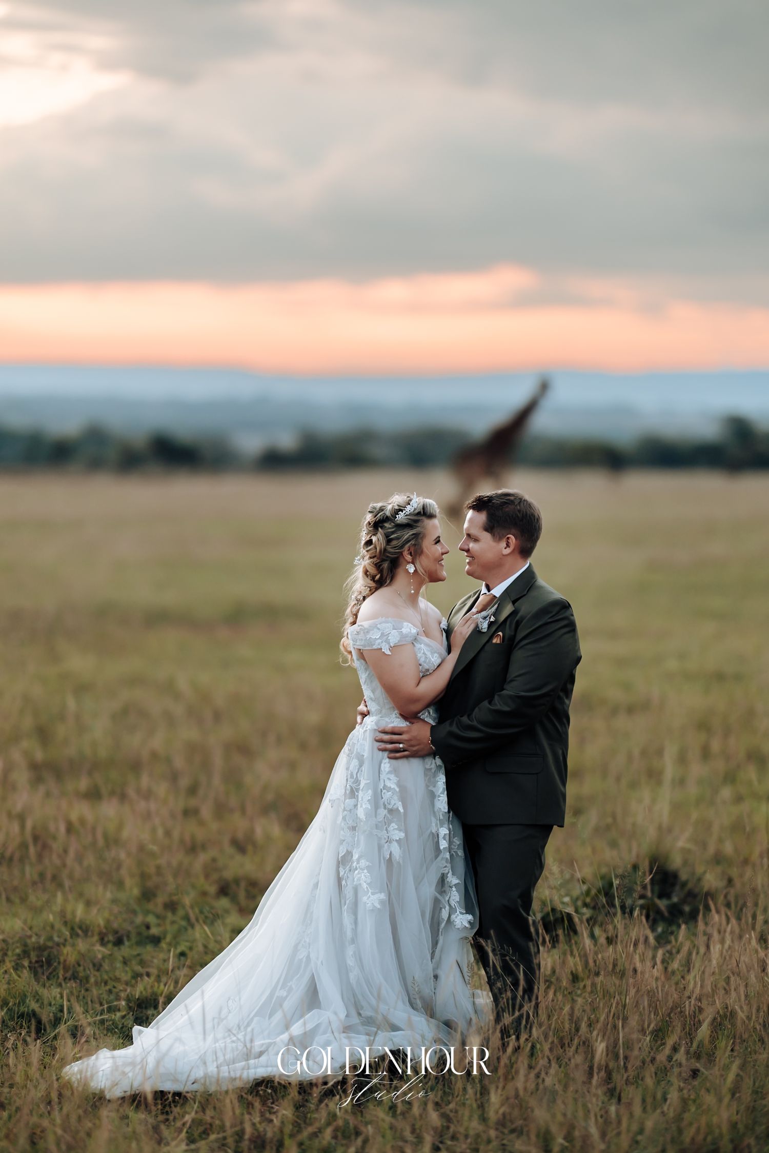 Bride and groom embrace in golden field at sunset with a giraffe visible in the background during African safari wedding.