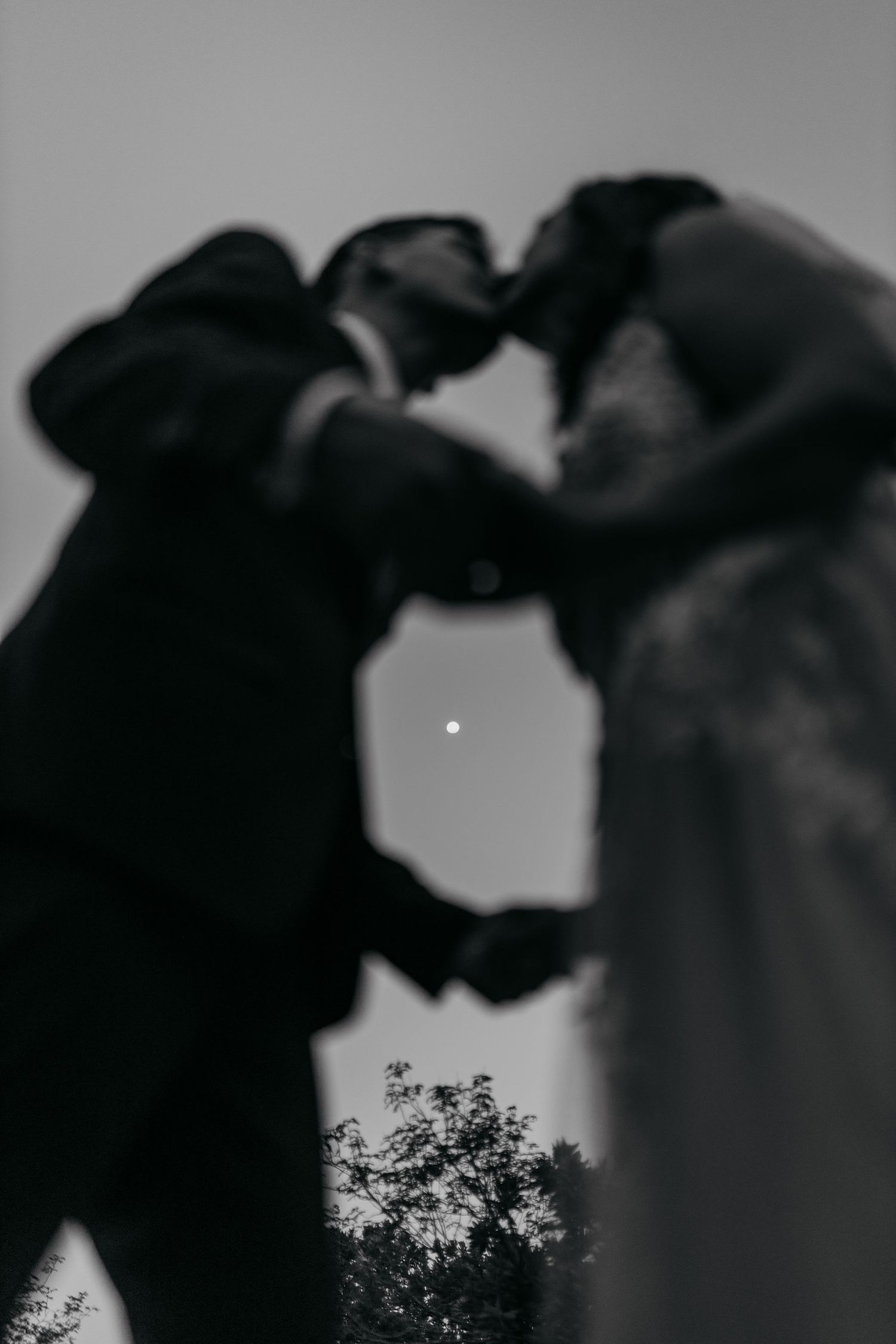 A silhouetted couple shares a romantic kiss against a dramatic black and white sky with trees in the background.