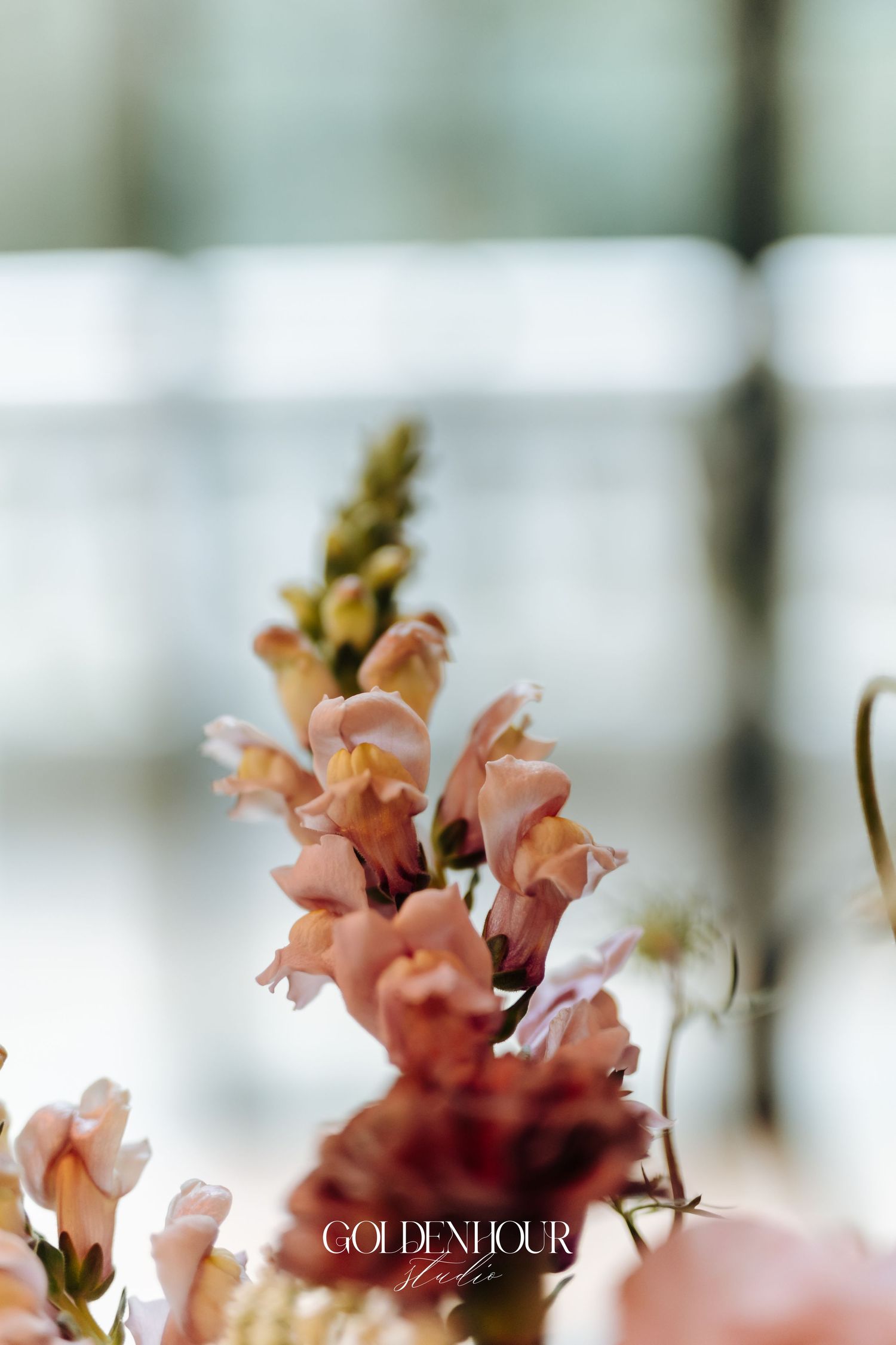 Close-up of delicate pink snapdragon flowers with soft bokeh background at wedding reception.