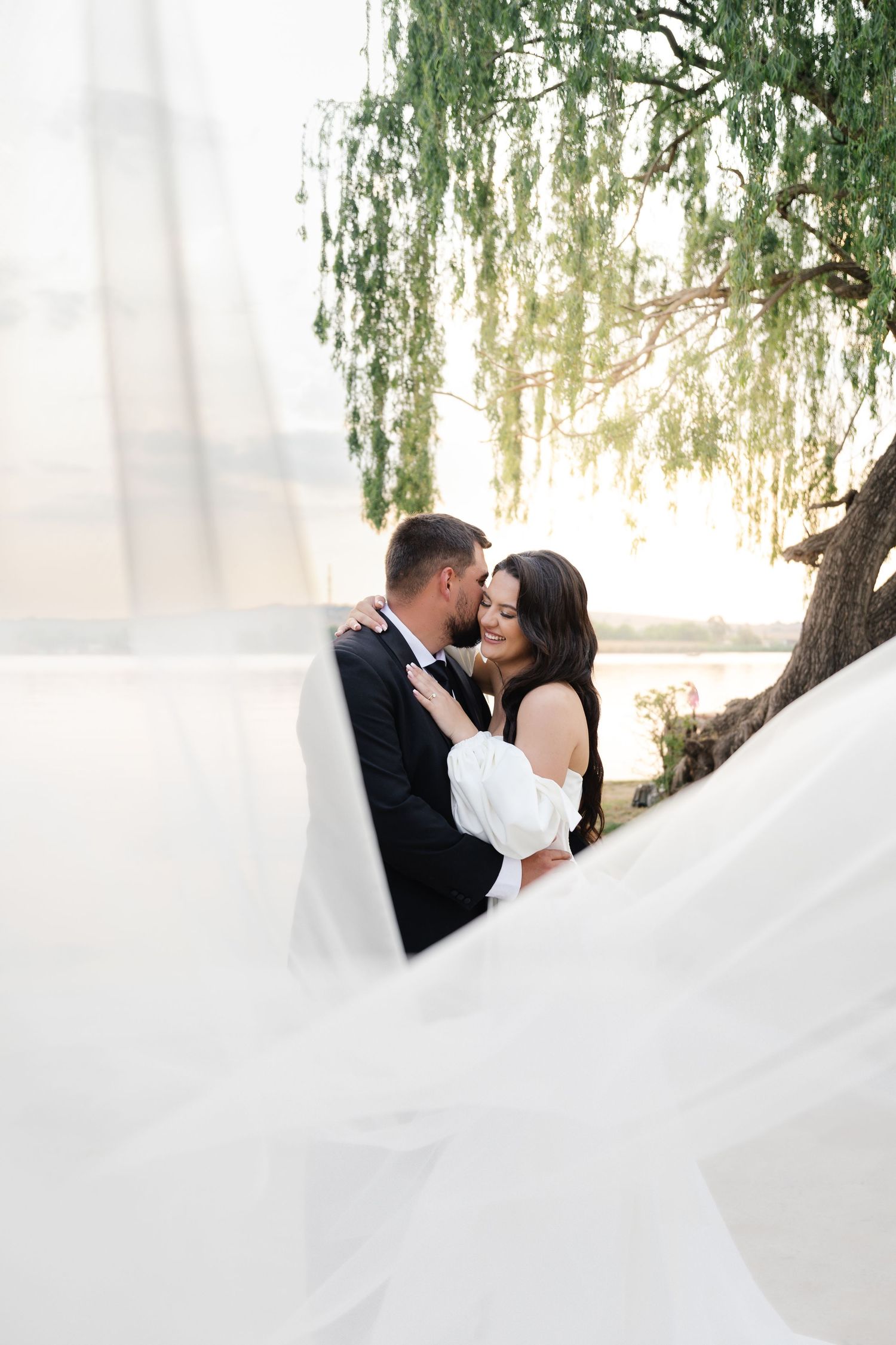 Romantic wedding couple embraces under weeping willow trees with flowing white veil in soft natural light.