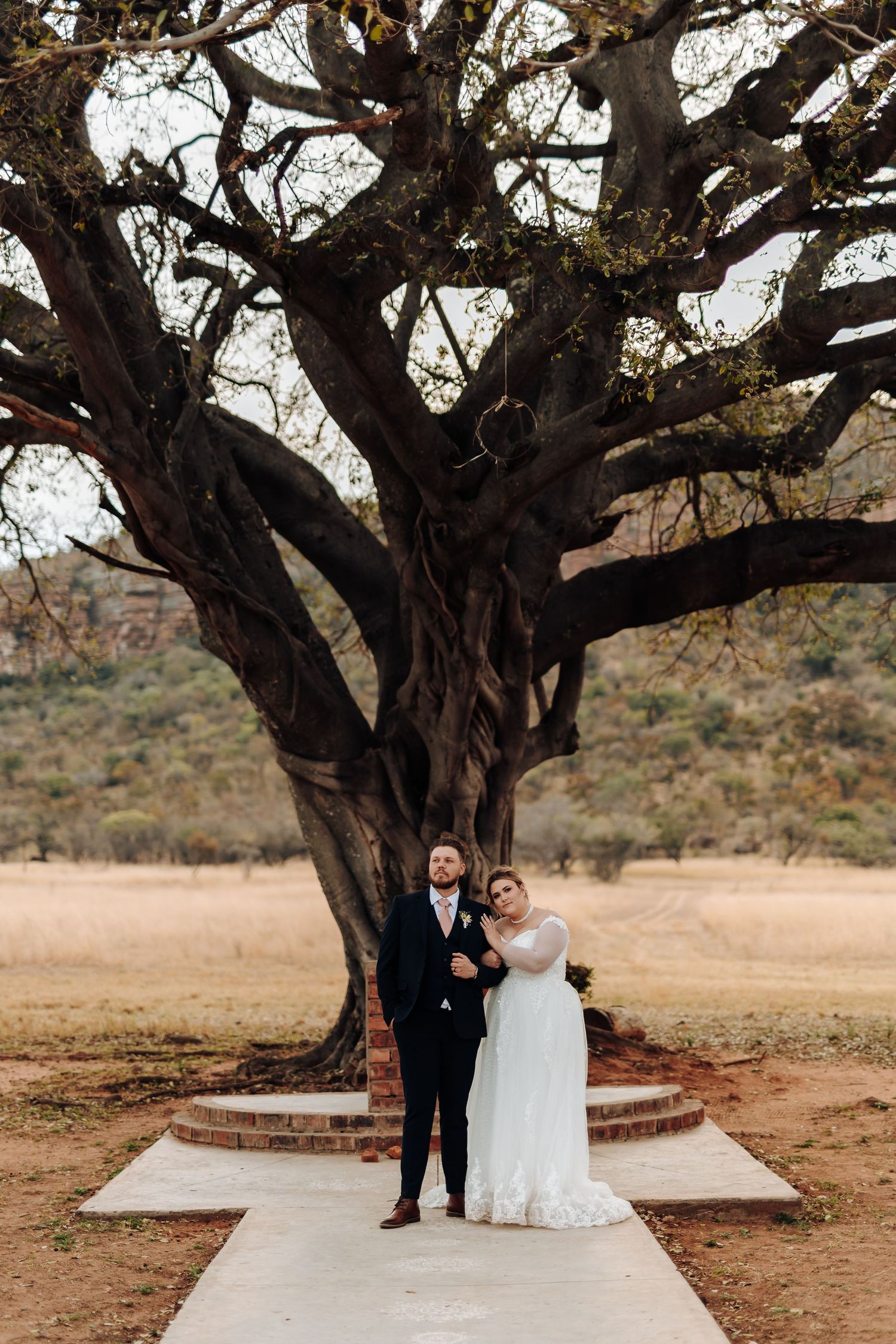 A beautiful wedding photo beneath a majestic old tree with twisted branches on a paved stone platform.