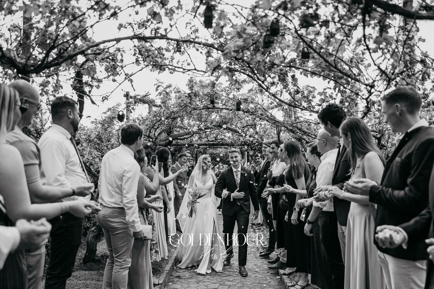 Outdoor wedding reception with guests mingling under trees at sunset.