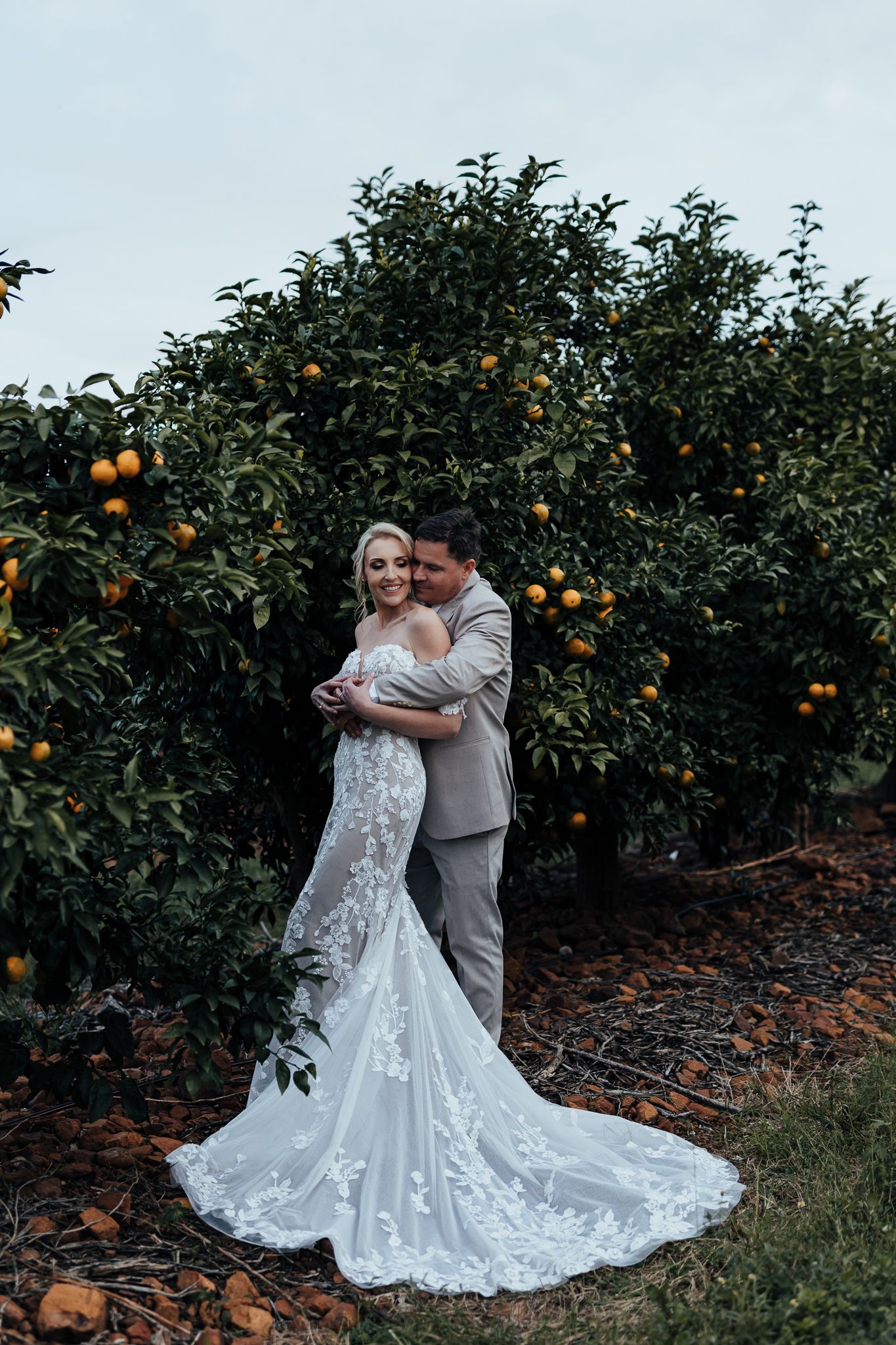 Newlyweds share an intimate moment in a citrus orchard with her flowing lace gown trailing behind.