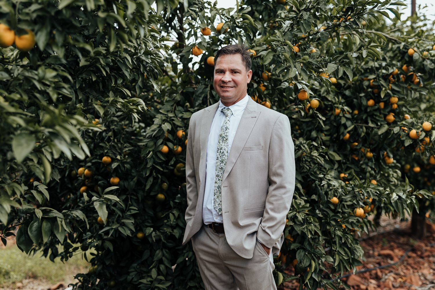 Wedding attendee in light suit stands casually among orange trees in an orchard.