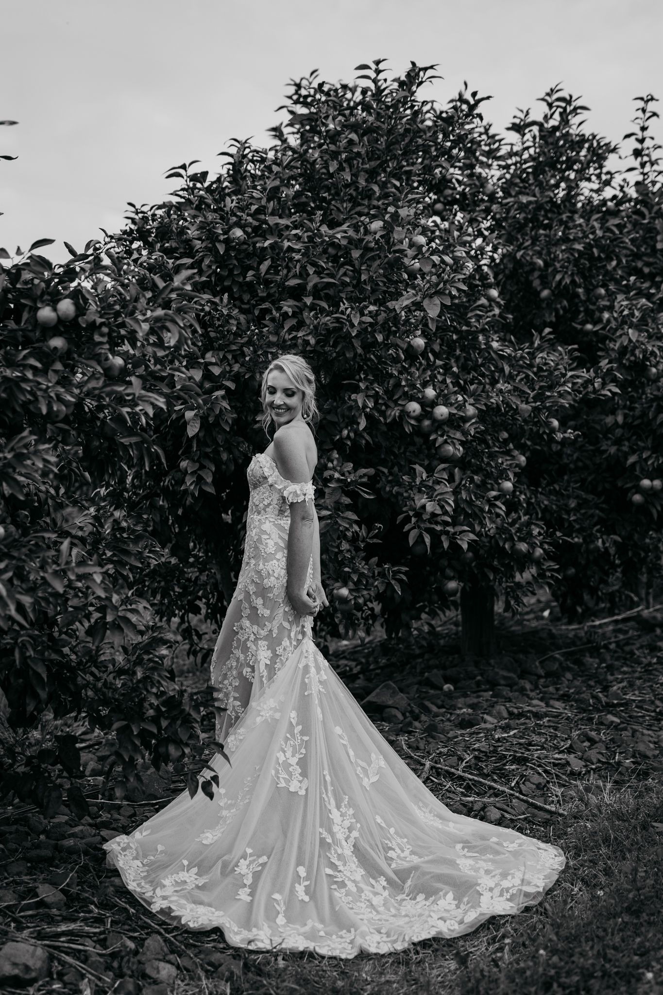 Black and white bridal portrait showcasing a detailed lace wedding gown in an orchard setting.