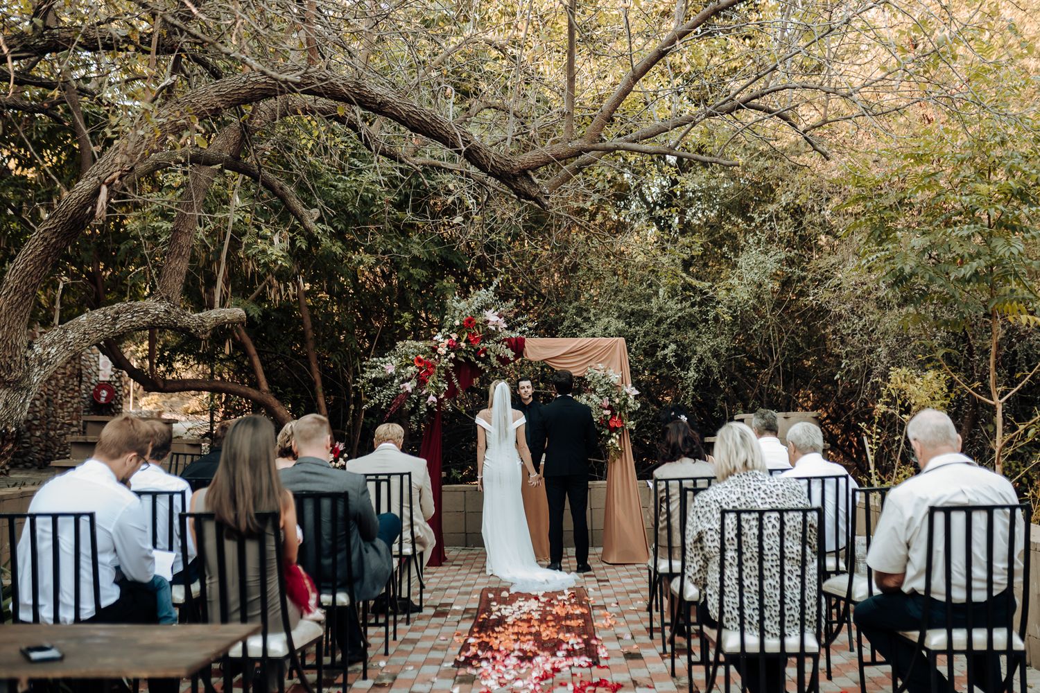 Garden wedding ceremony setup with black chairs and rose petal aisle under natural tree canopy.