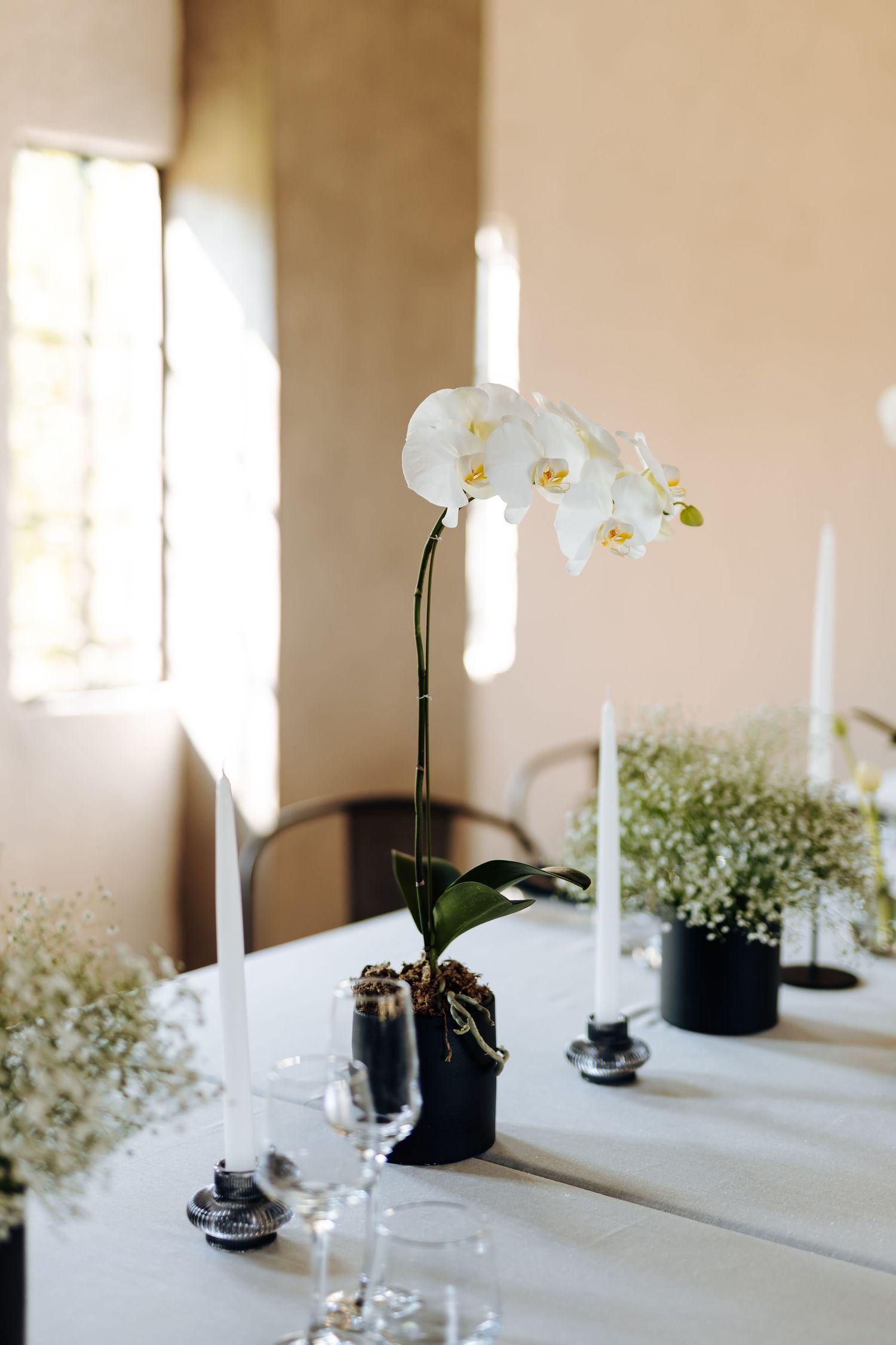 An elegant white orchid in a black pot sits on a white tablecloth with baby's breath flowers and candles in glass holders.