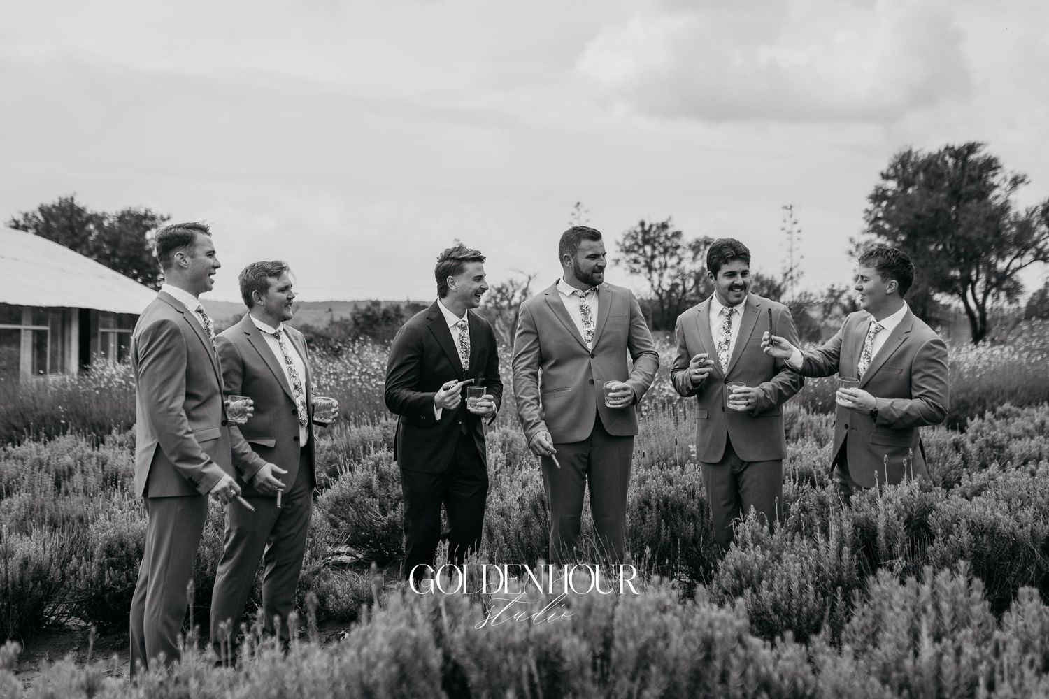 Wedding party standing together in a field of tall grass during golden hour.