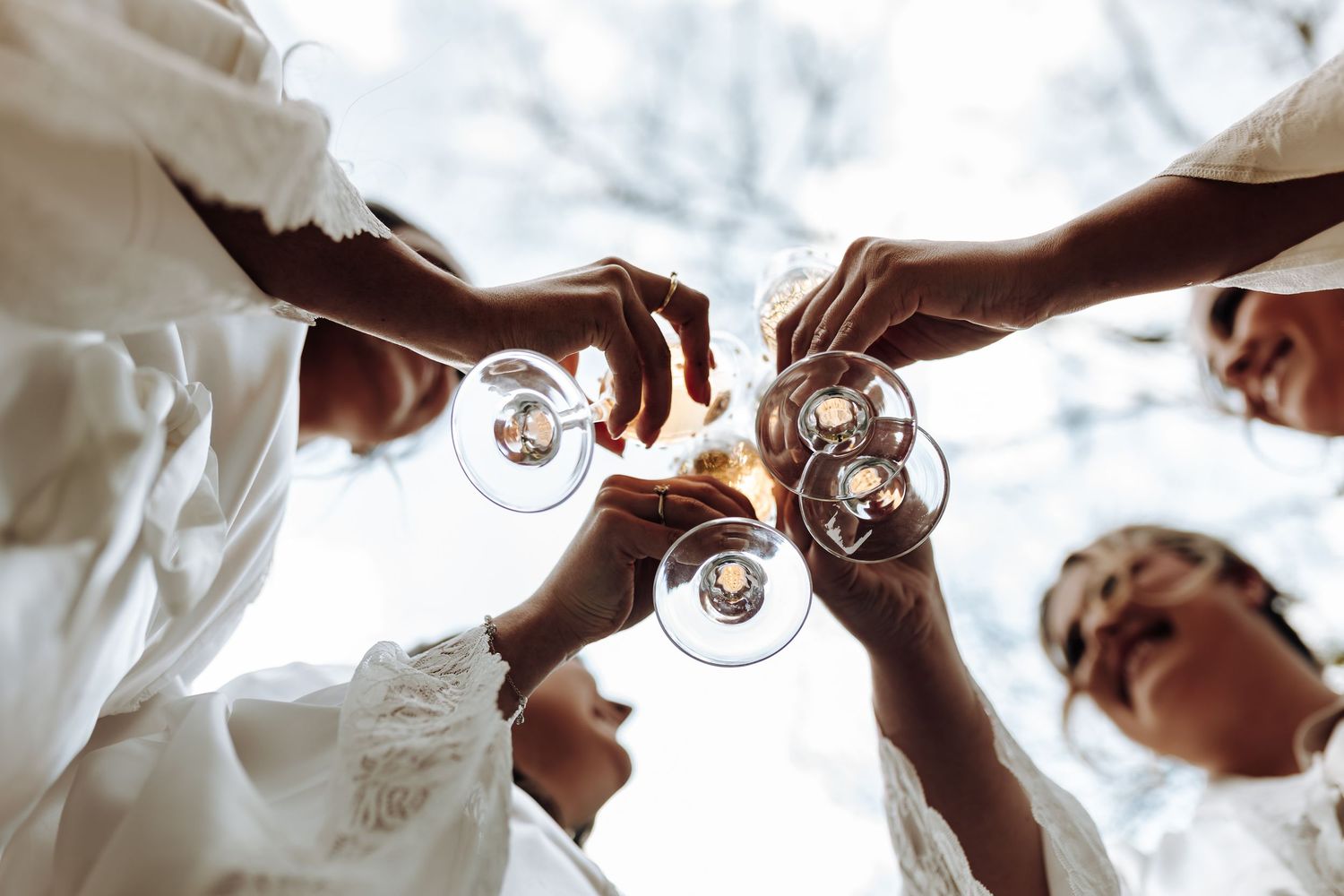 A group of hands raising wine glasses in celebration, creating a festive toasting moment.