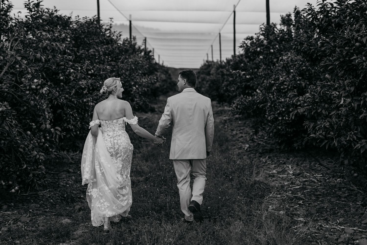 Newlyweds walking hand in hand through a scenic citrus grove path.