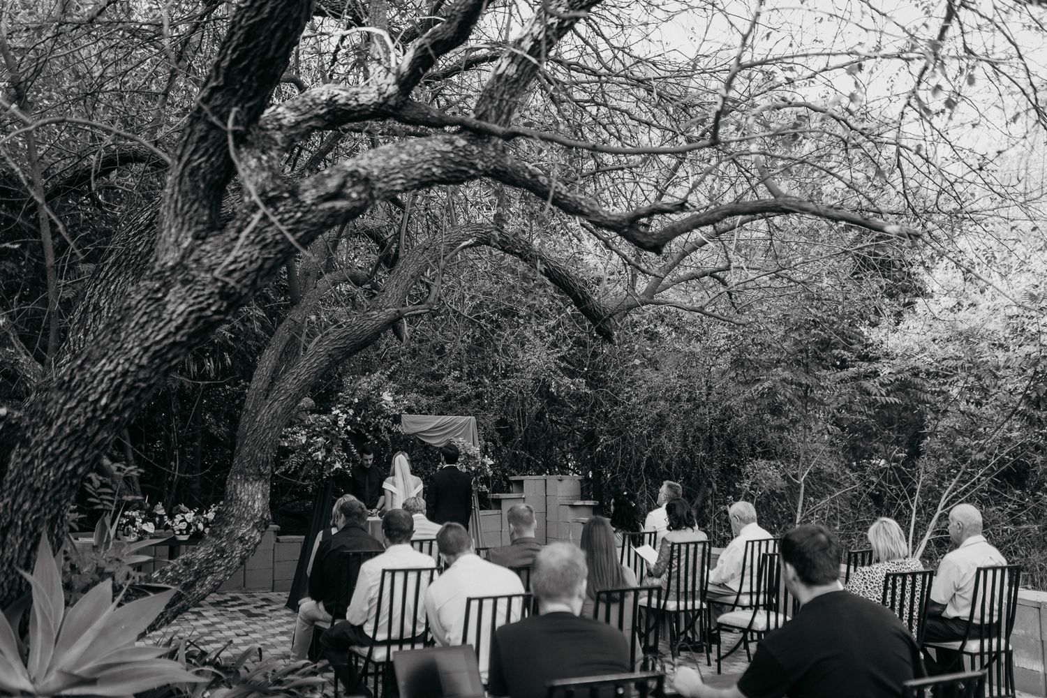 A black and white photo of outdoor wedding seating arranged under twisting tree branches.