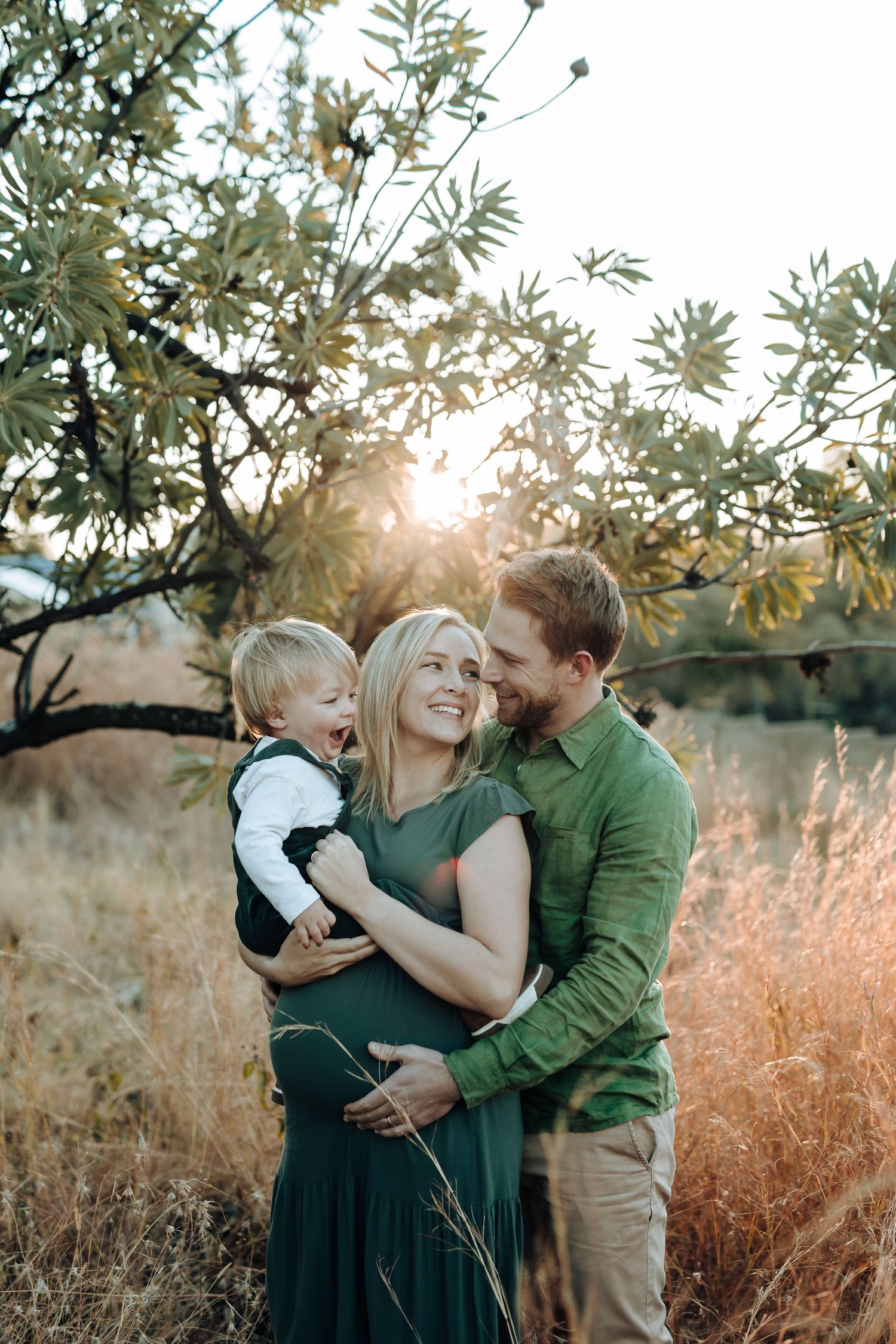 Three candid embrace photos in a field at sunset with olive trees and golden grasses creating a warm natural backdrop.