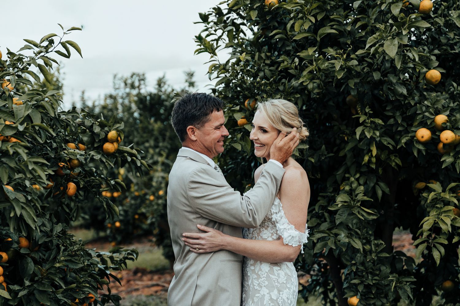 Romantic wedding portrait in an orange grove with soft lighting and natural scenery.
