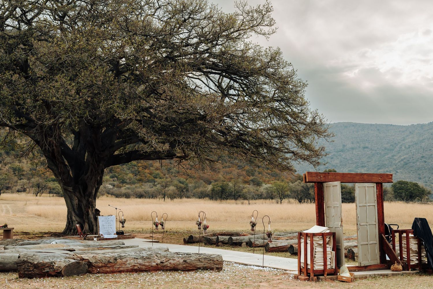 Rustic gas station pump and large tree stand alone in a rural mountain landscape under cloudy skies.