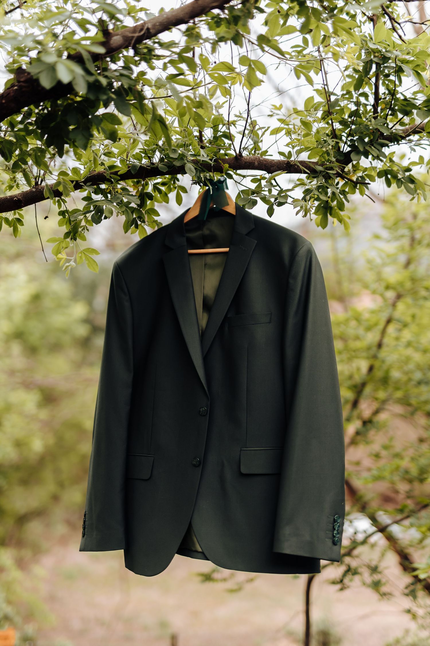 A black suit jacket hangs from a tree branch against a soft green leafy background in natural lighting.