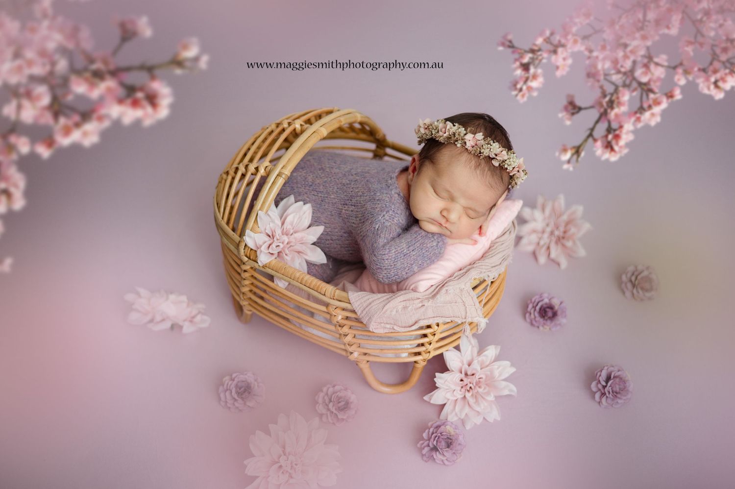 Dreamy overhead view of sleeping newborn in woven basket surrounded by delicate pink cherry blossoms.