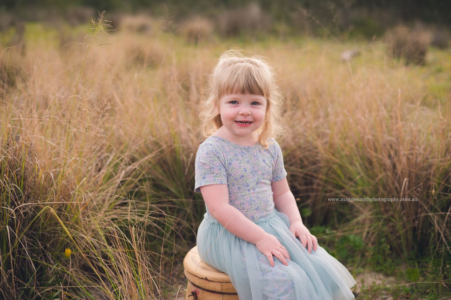 A young child in a gray dress sits among tall golden grass during a sunset photo session in a field.
