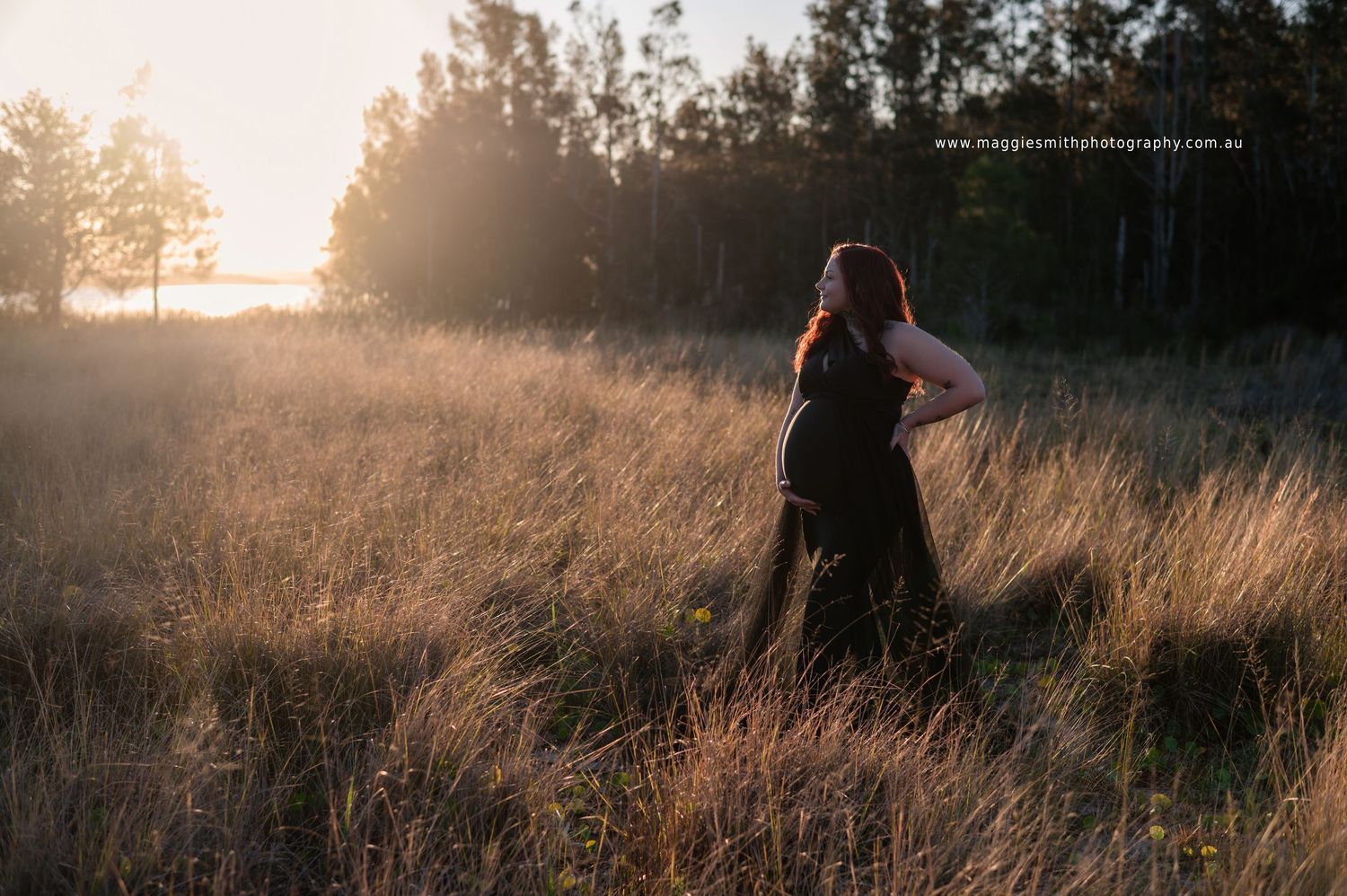 A silhouetted pregnant woman stands in a golden field at sunset with tall grass and trees in the background. Maternity photoshoot Gosford.