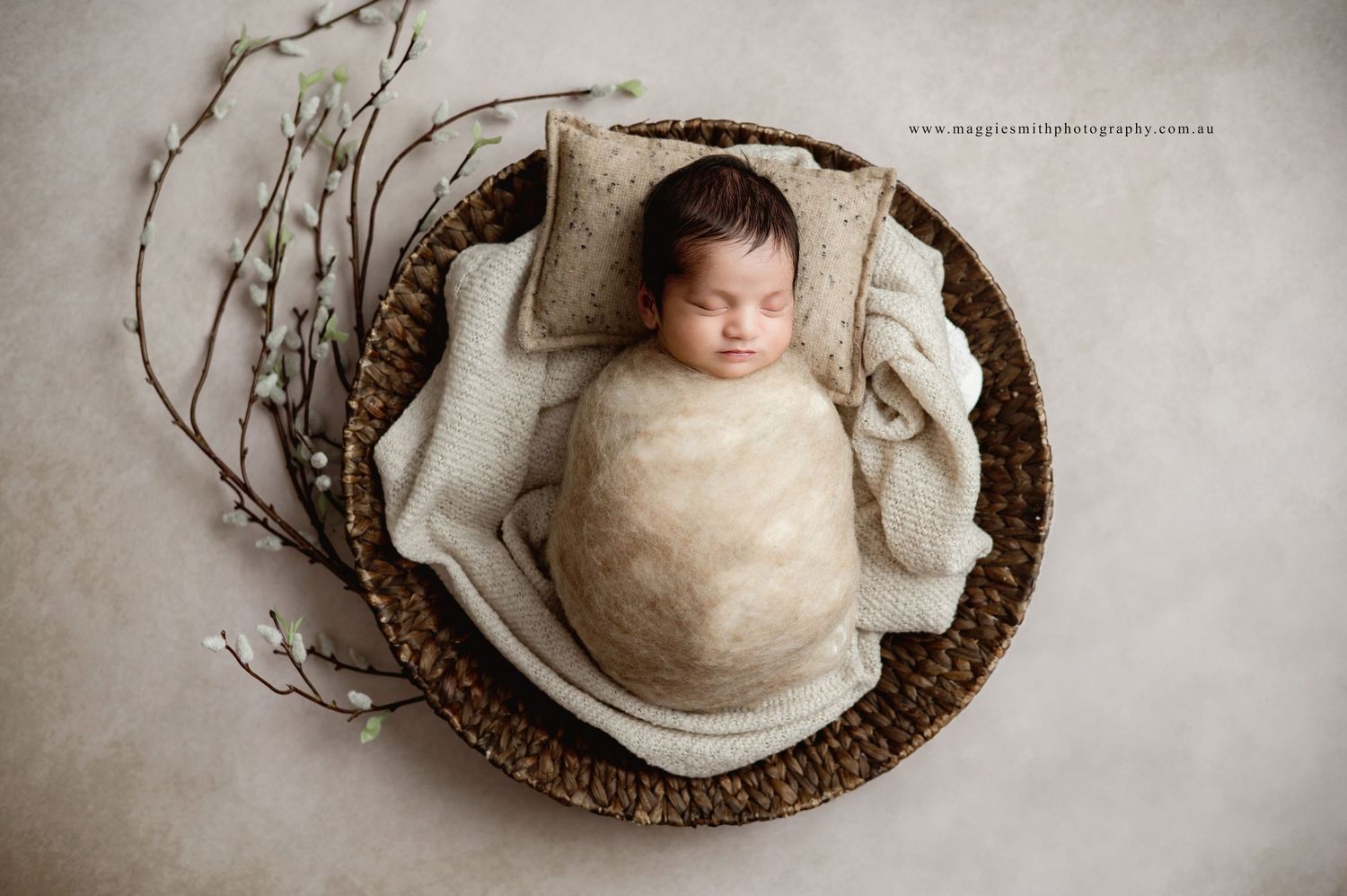 Newborn baby wrapped in cream fabric lying in rustic woven basket with decorative willow branches.