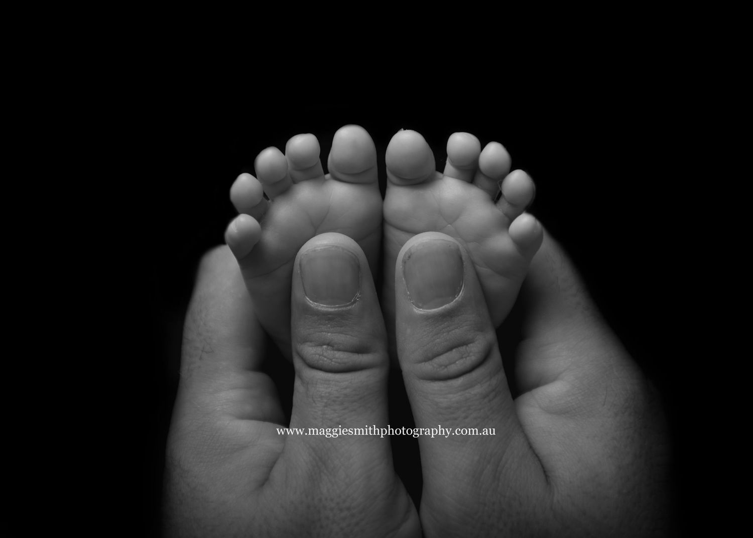 Black and white close-up photograph of tiny baby feet being cradled by adult hands.
