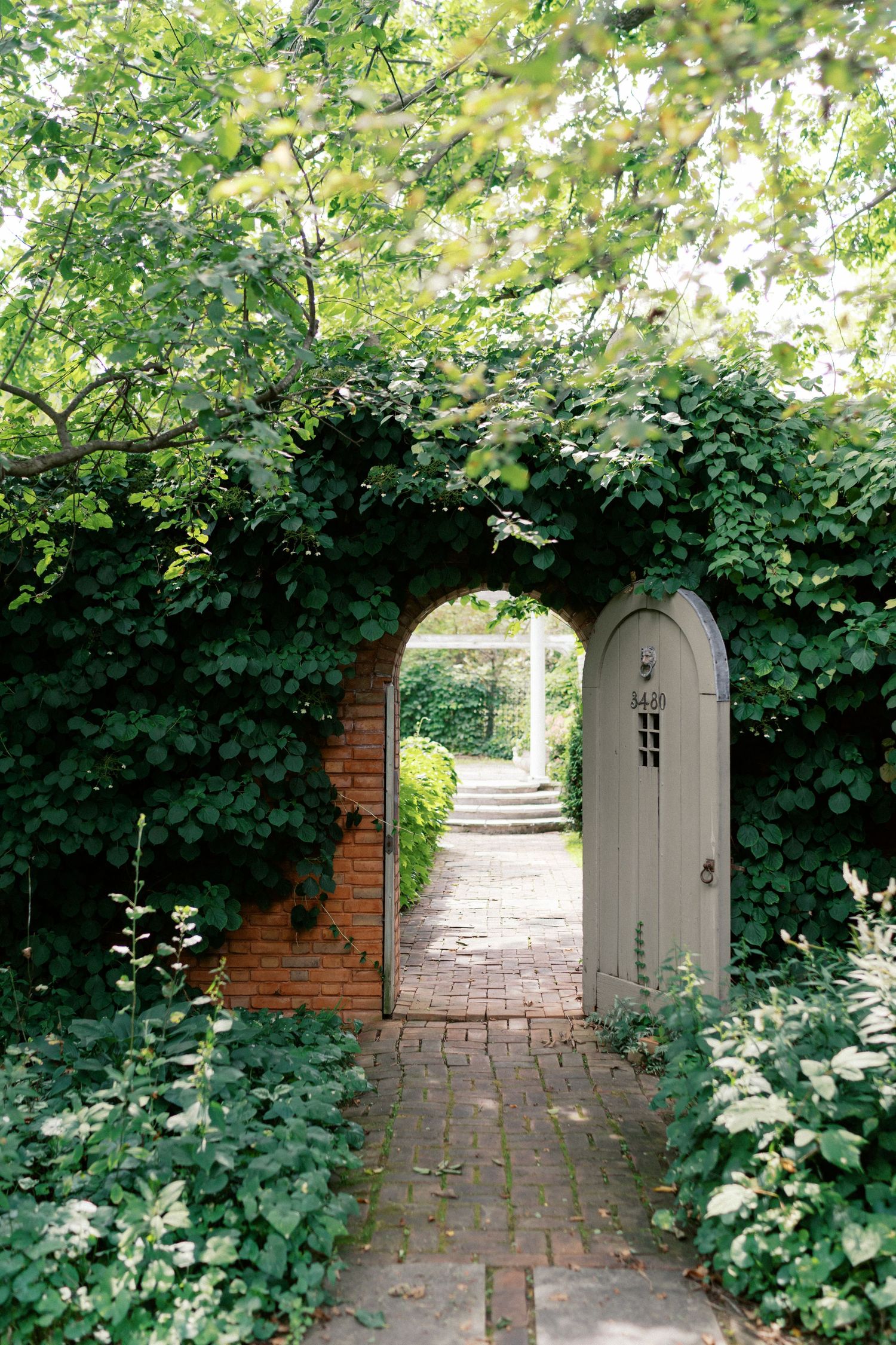 Garden archway covered in lush green vines and foliage leading to a romantic garden path.
