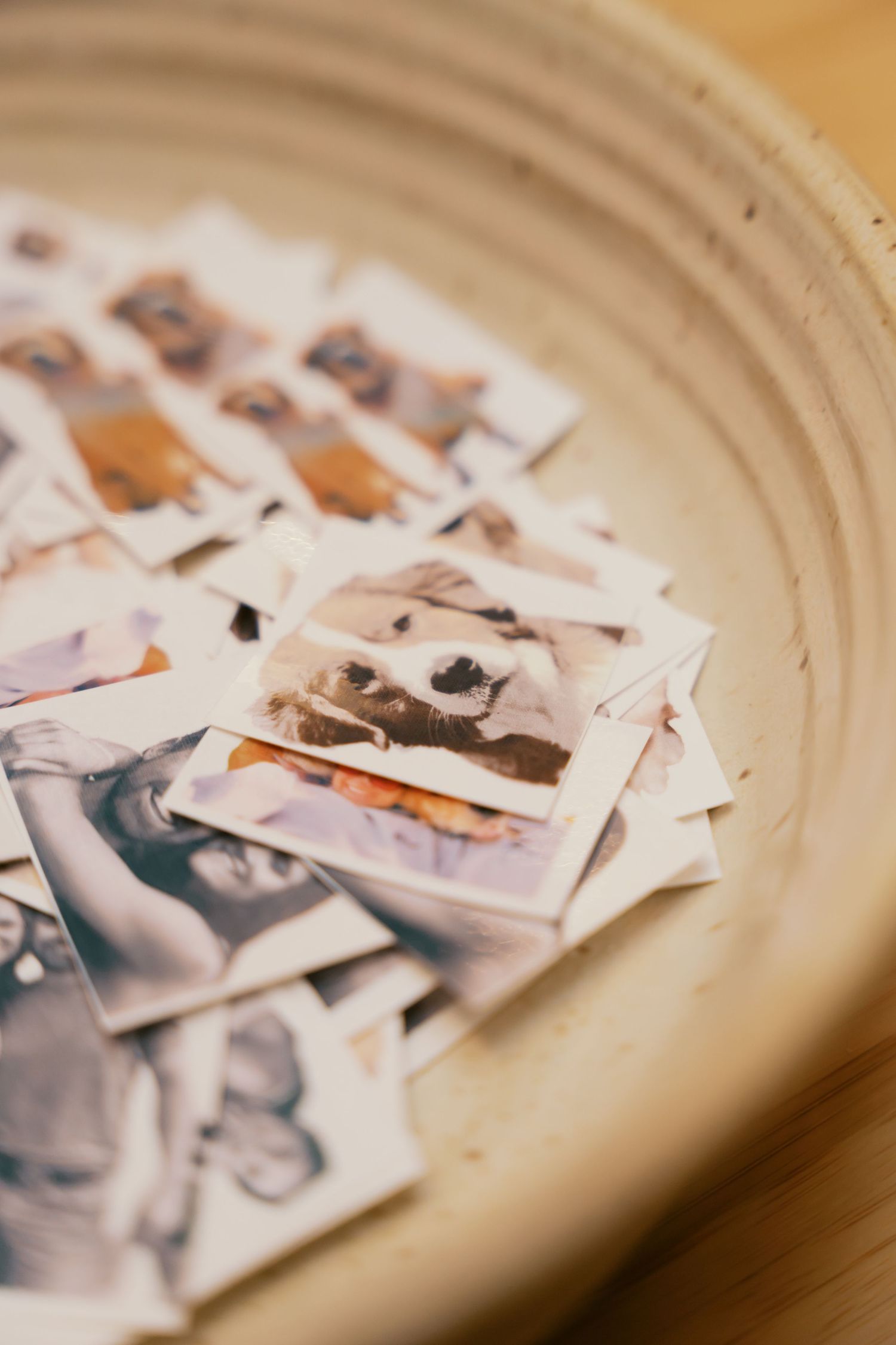 Collection of vintage polaroid photographs scattered on beige ceramic plate.