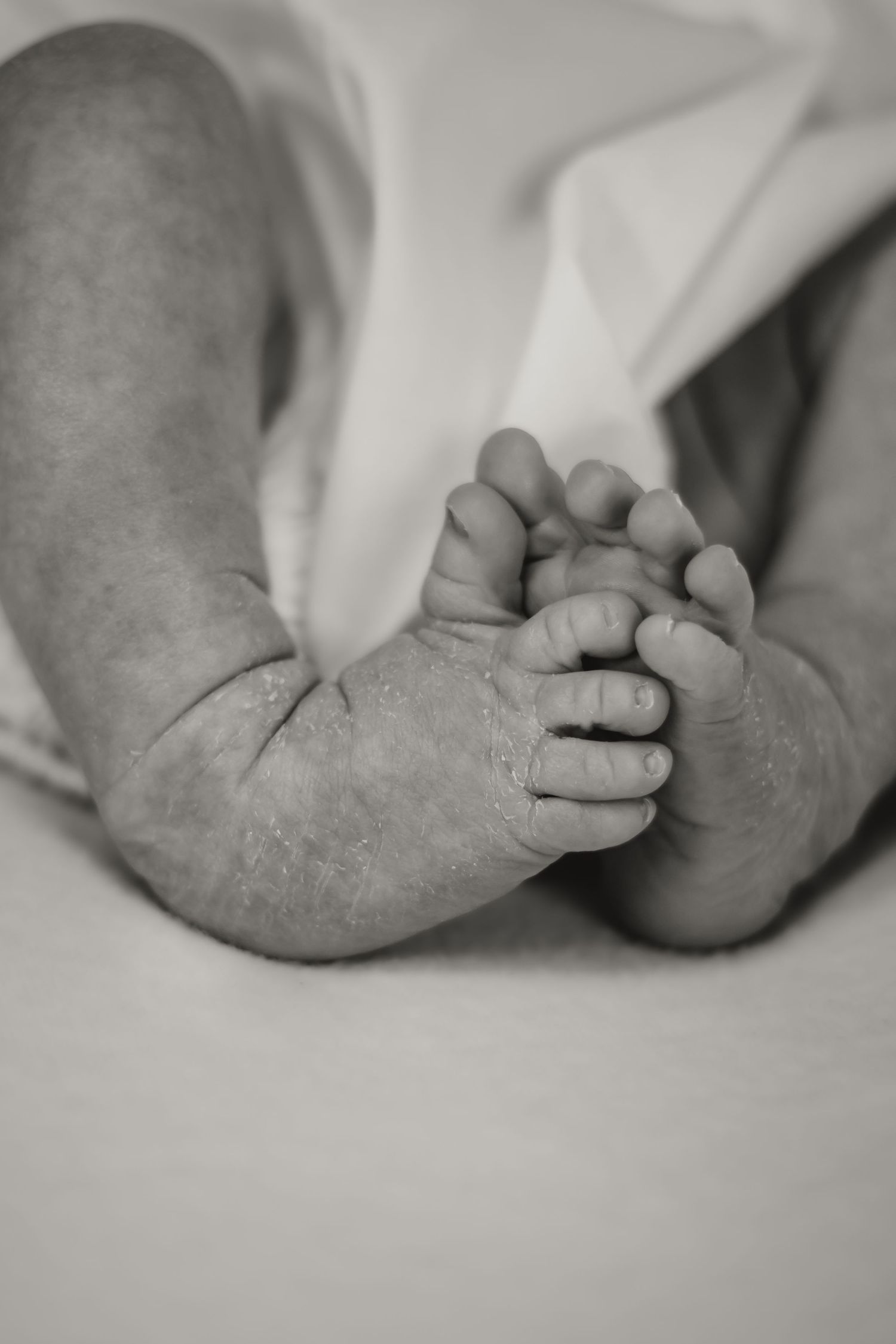 Serving families across Columbia, Kirksville, Hannibal, Macon, and surrounding Missouri.