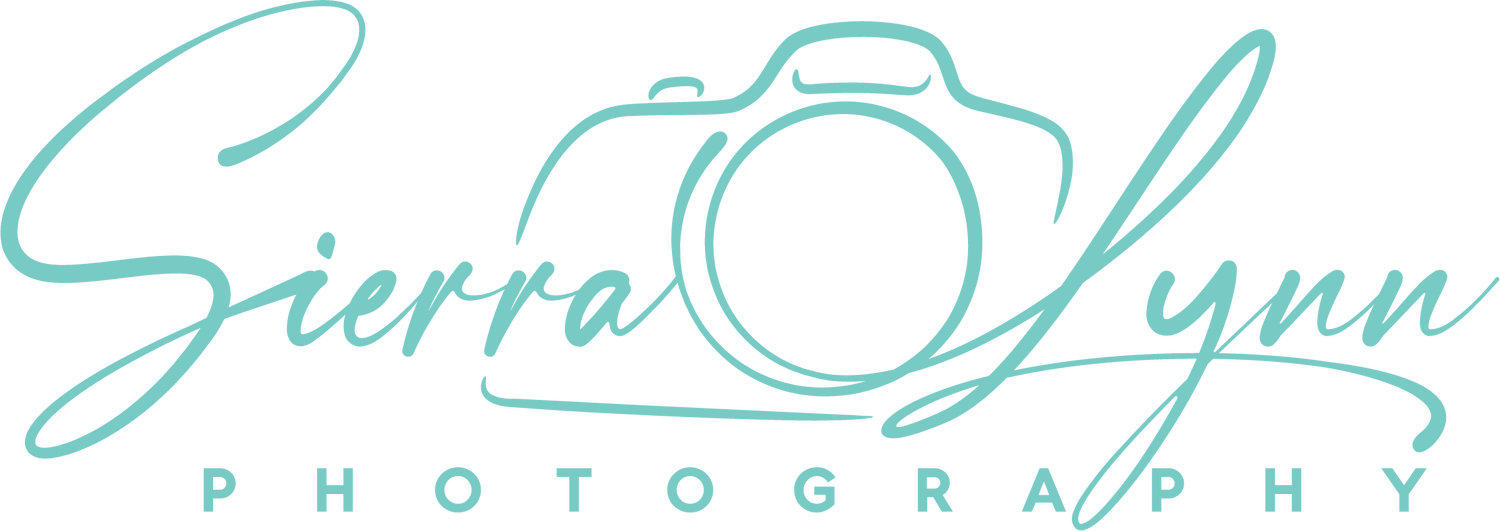 Teal photography logo with camera icon design.