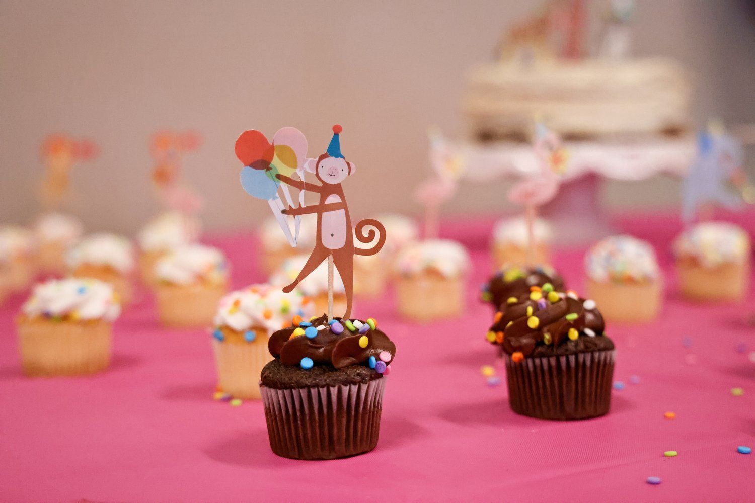 Chocolate cupcakes with decorative toppers on pink background in Abilene, Texas.