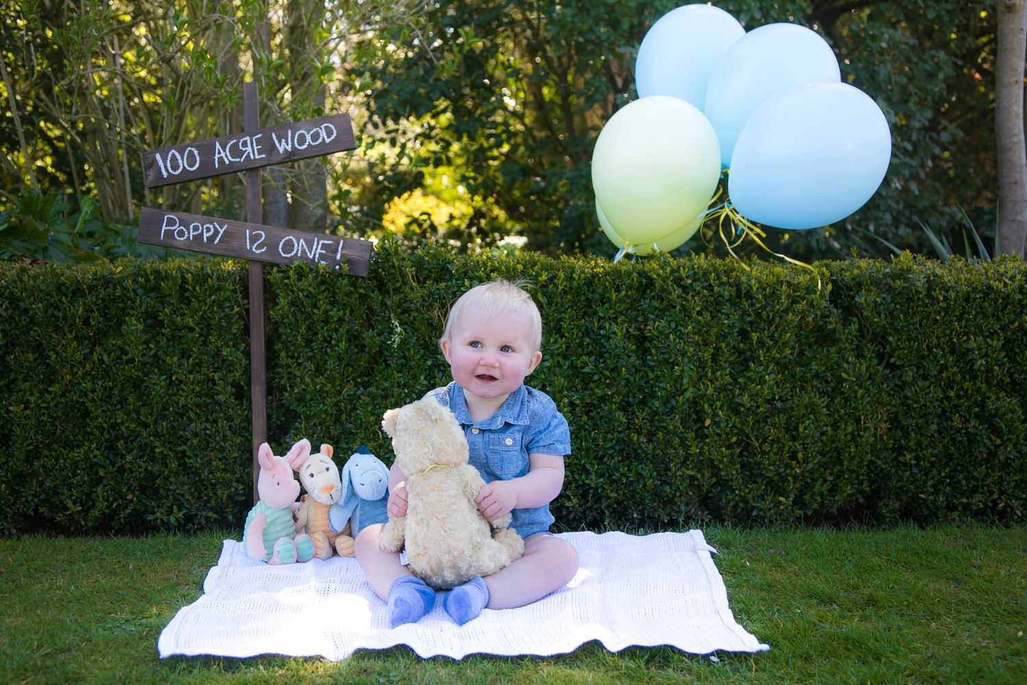 baby girl sat with her winnie the pooh teddies with pastel balloons a wooden direction sign during her first birthday outdoor photo shoot