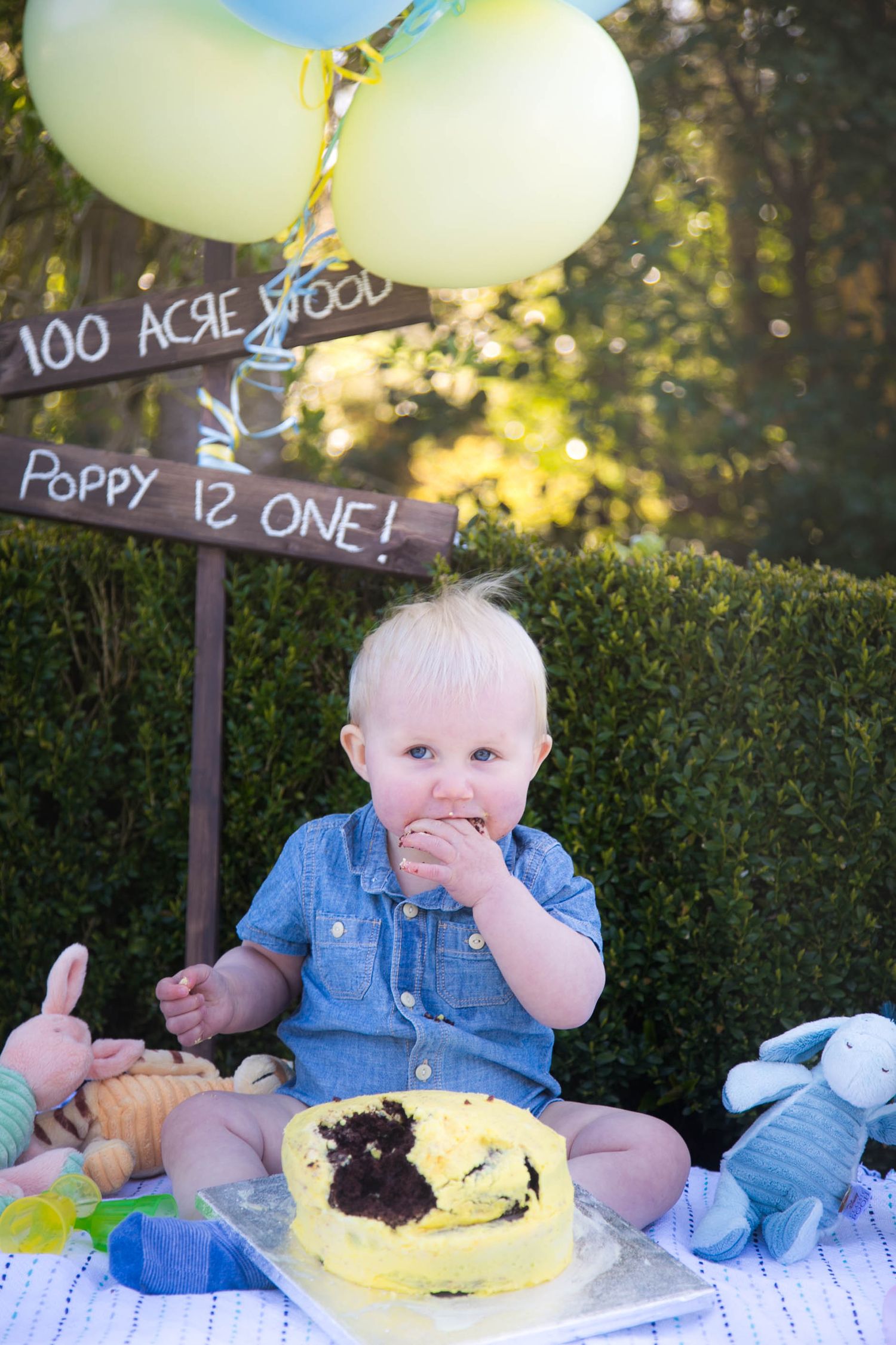 baby girl looking into camera whilst eating birthday cake for her winnie the pooh outdoor cake smash photo shoot