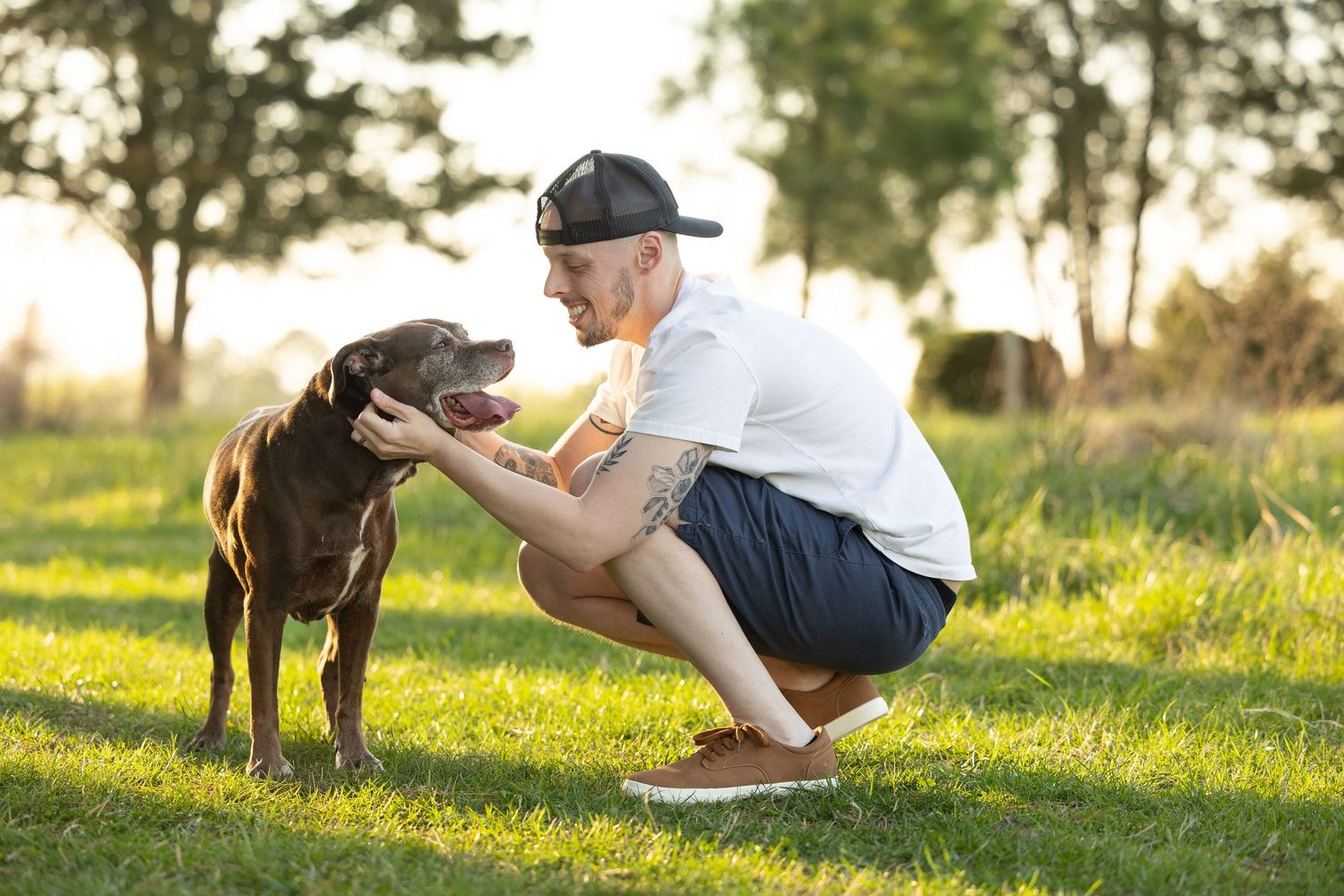 Tattooed man in cap crouching to pet a chocolate Labrador dog on a sunny green grass field.