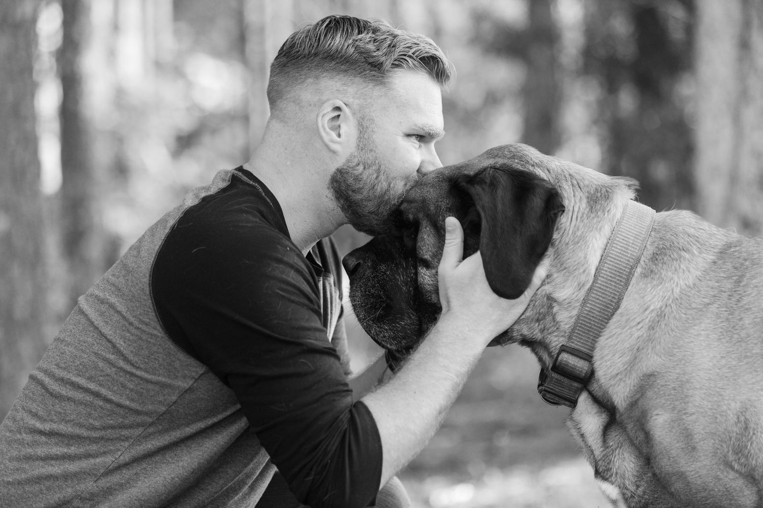 A person in dark clothing shares an intimate moment with their English Mastiff dog in a wooded area.