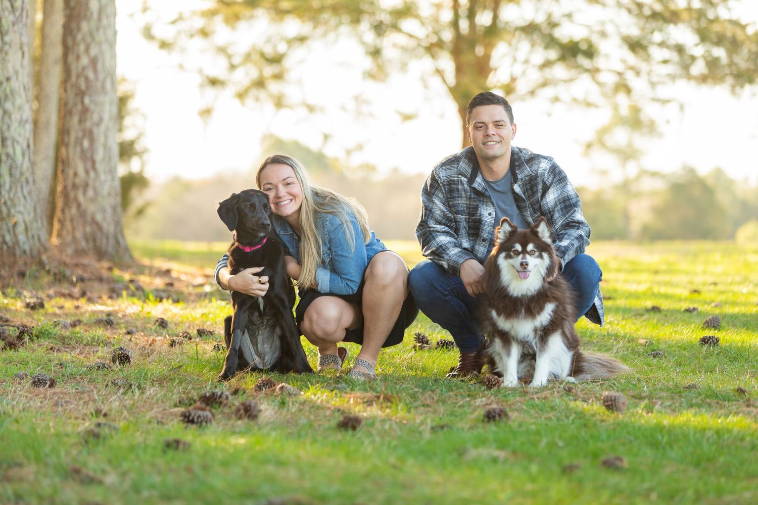 A couple crouches with their two dogs, a black lab and husky, on grass during golden hour in a park.