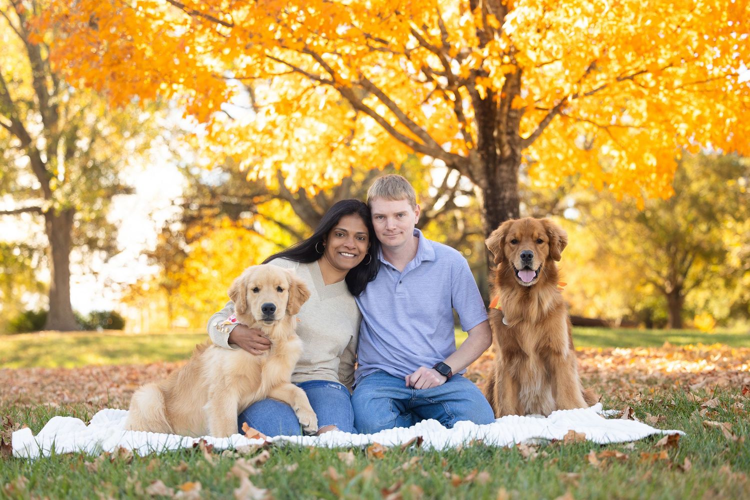 A couple sits on a blanket with their golden retriever dogs surrounded by vibrant fall foliage in a park setting.