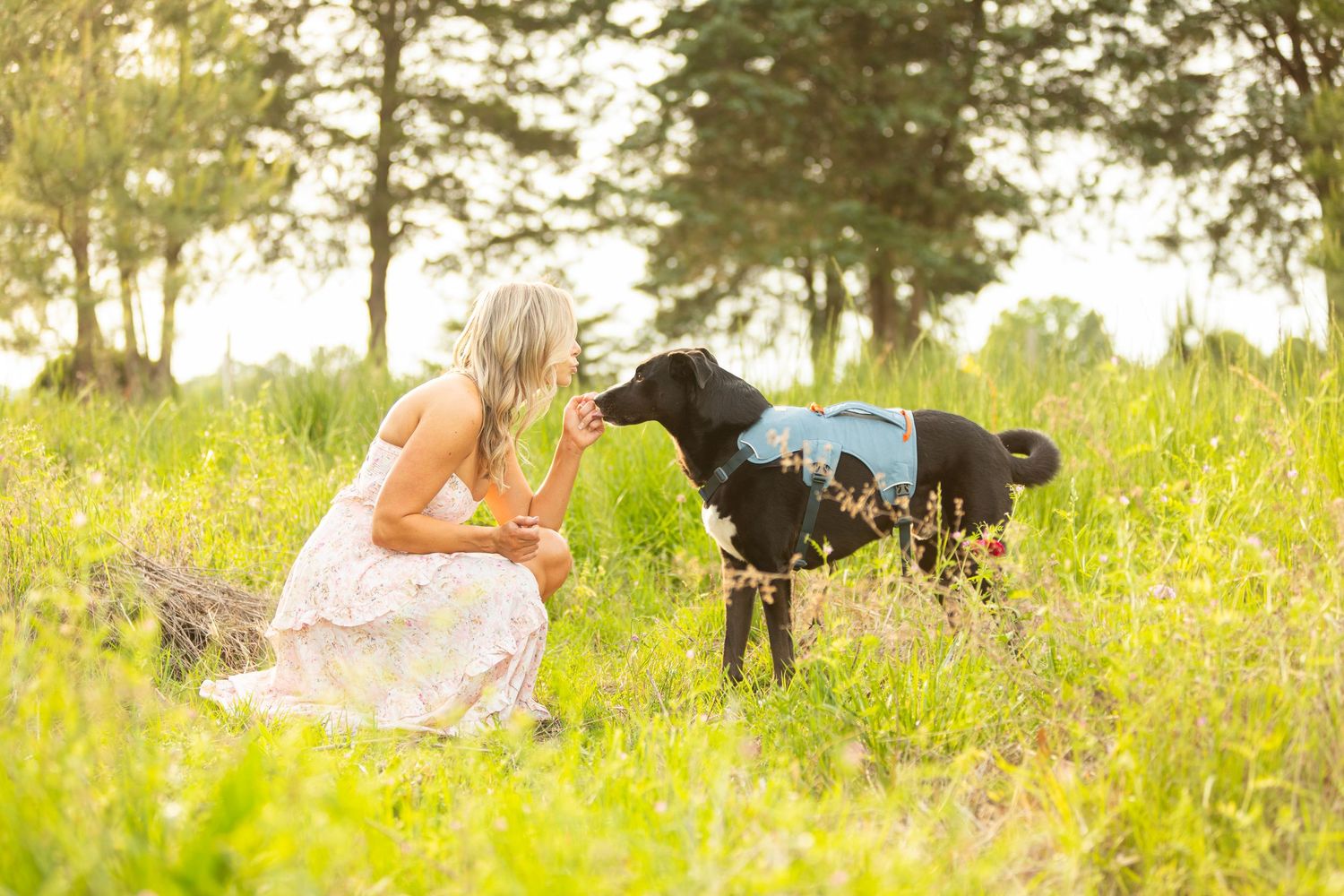 A person in a sundress kneels in a wildflower meadow next to a black dog on a sunny summer day.